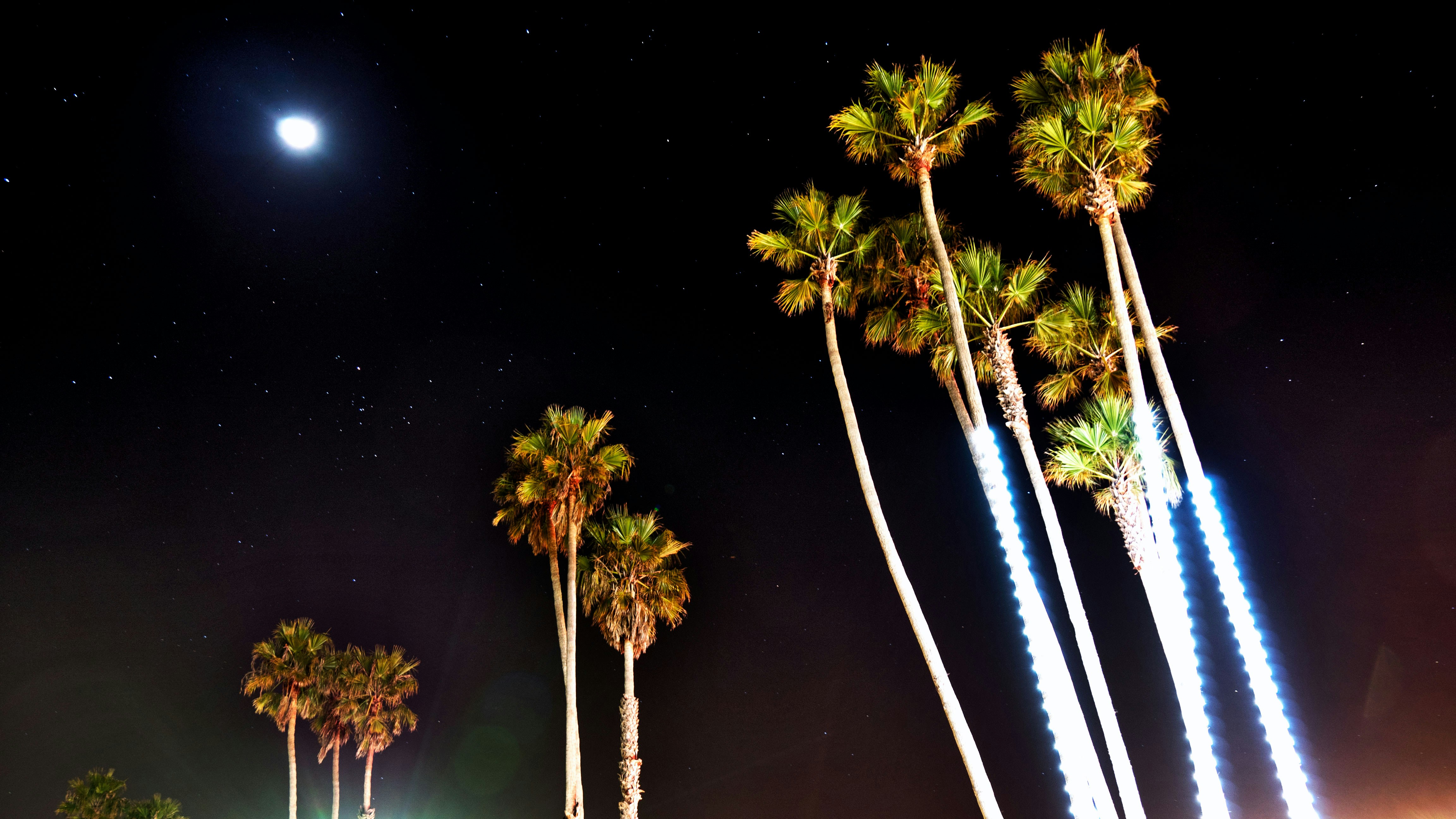 Free Unsplash photo from Chris Altamirano