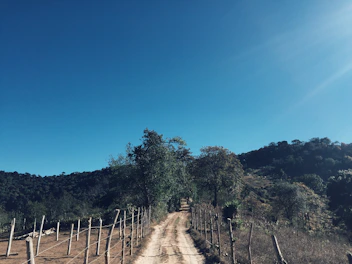 A dirt path leading through a rustic rural landscape with trees.