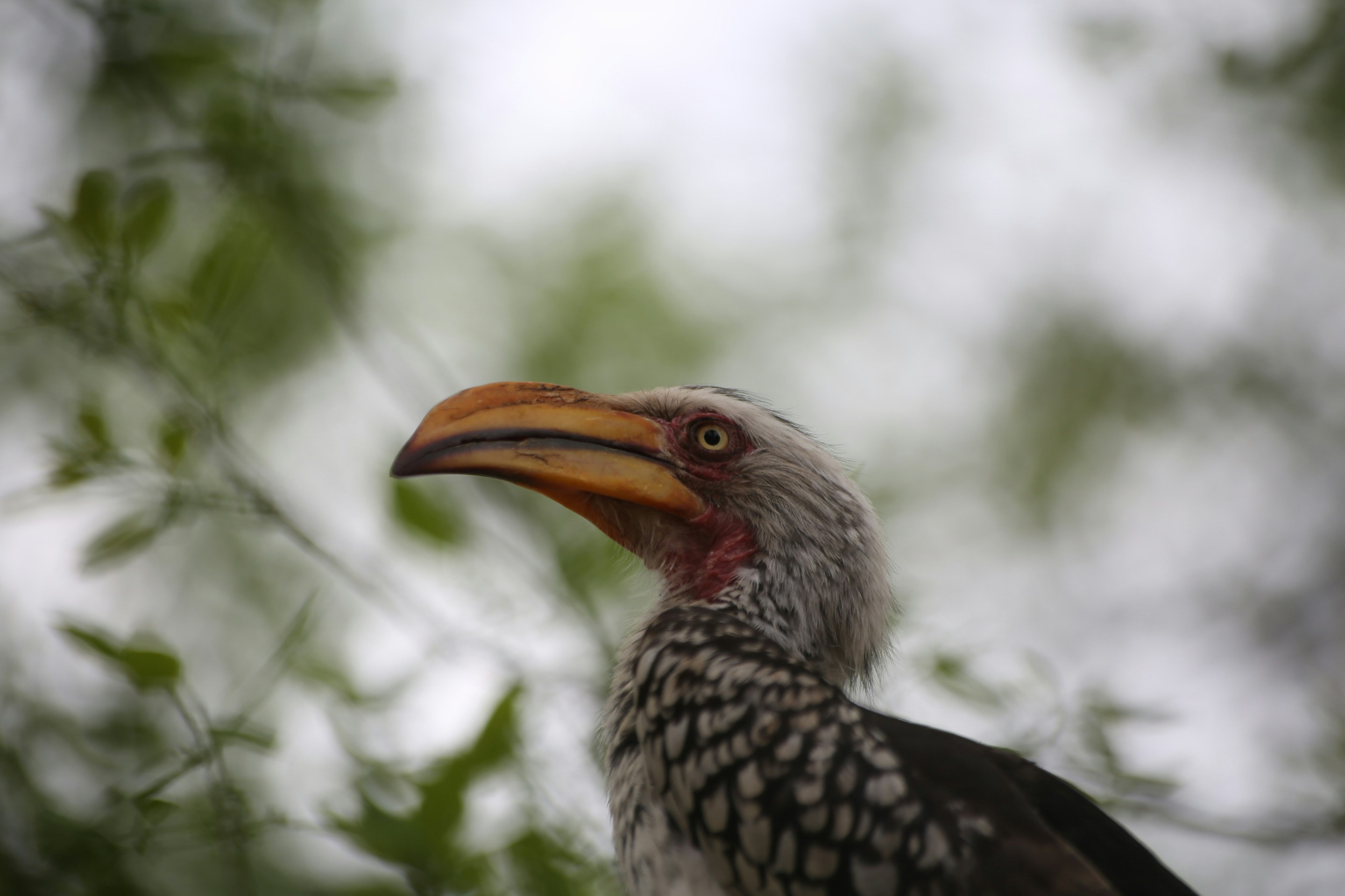 Free Unsplash photo from Jenny Levi