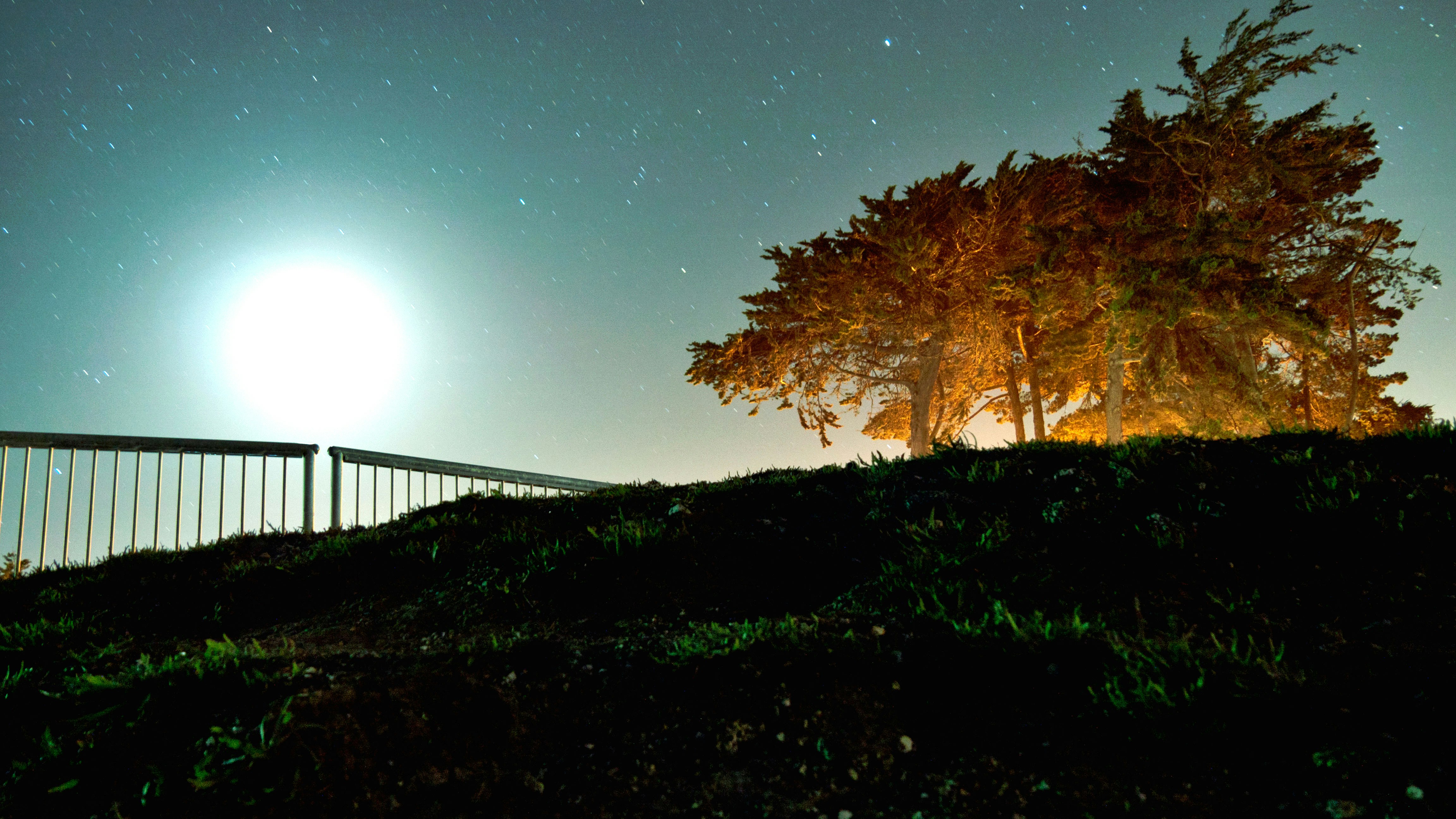 Free Unsplash photo from Chris Altamirano