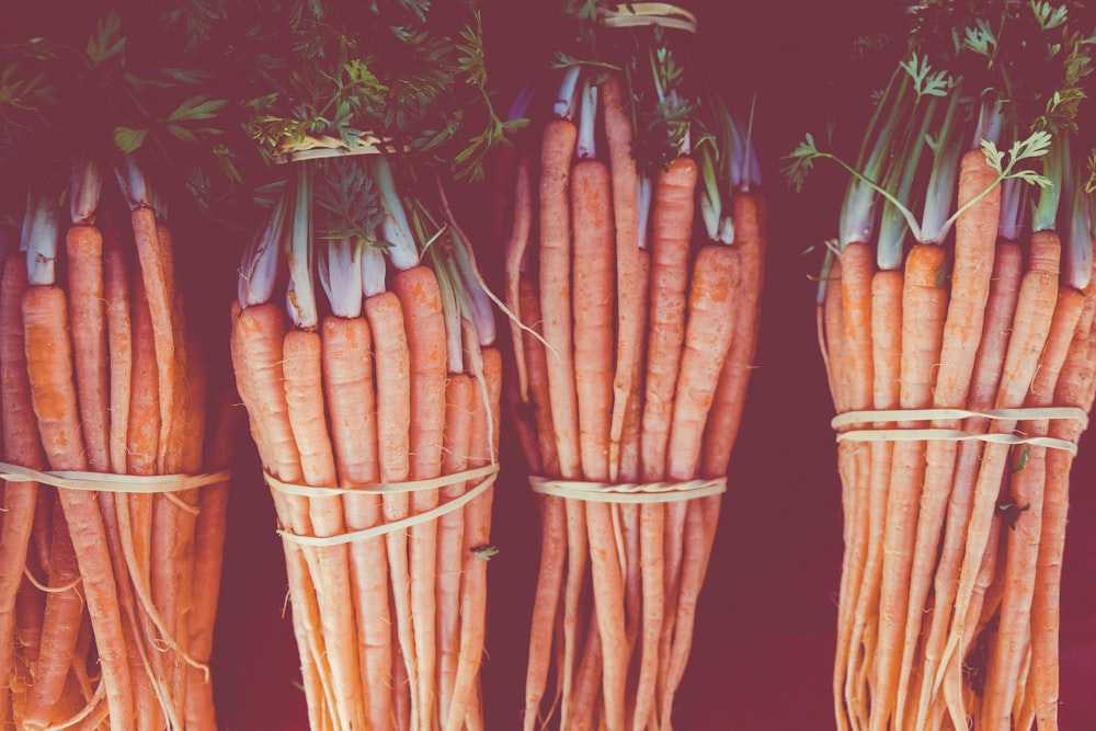 carrot lot with ropes