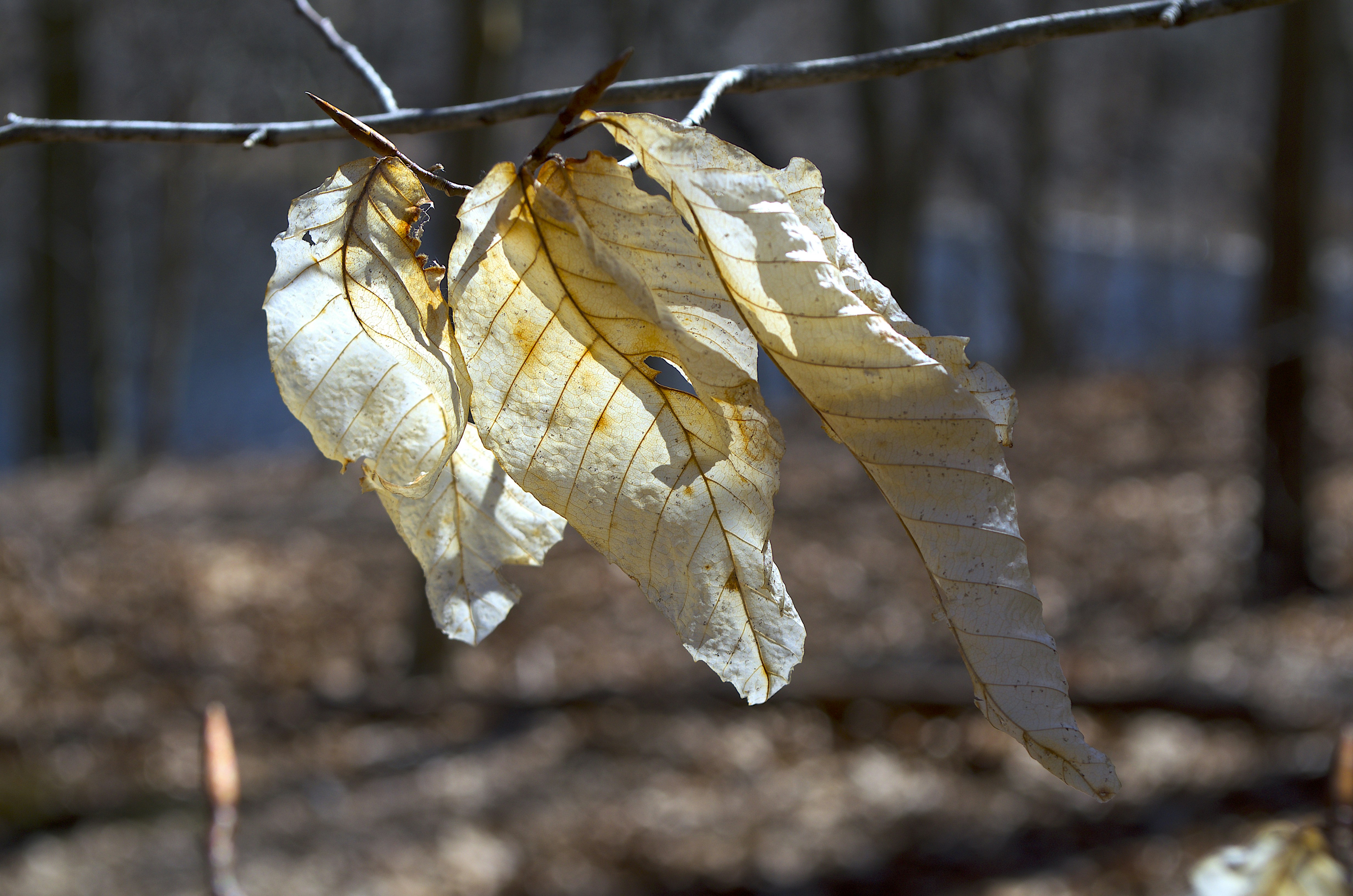 Free Unsplash photo from Krishnam  Moosaddee