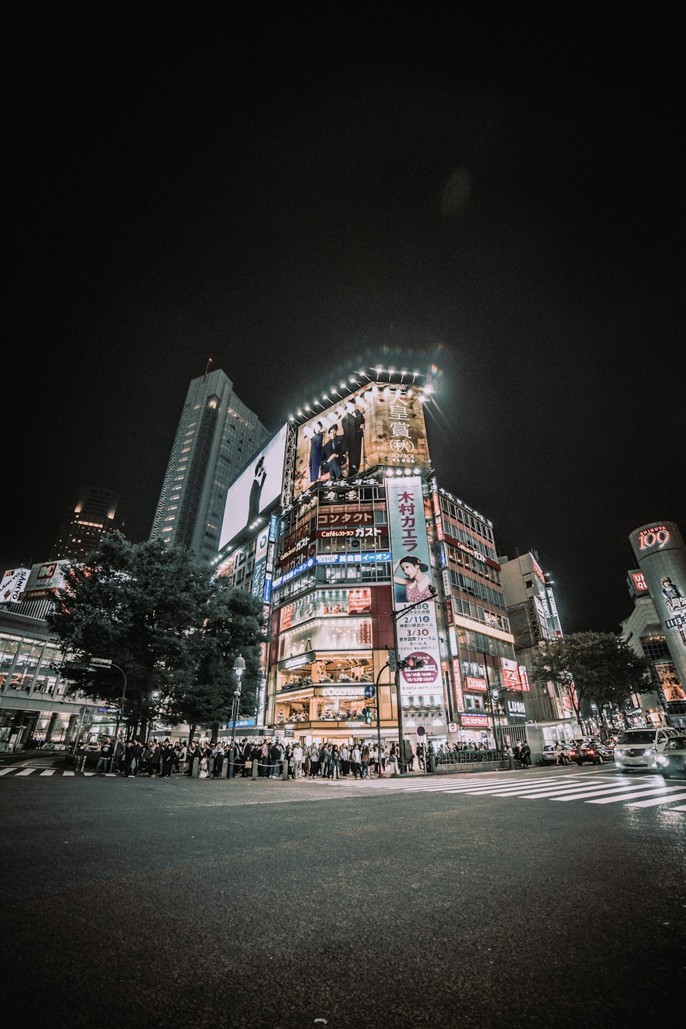 people passing through the pedestrian lane during nighttime