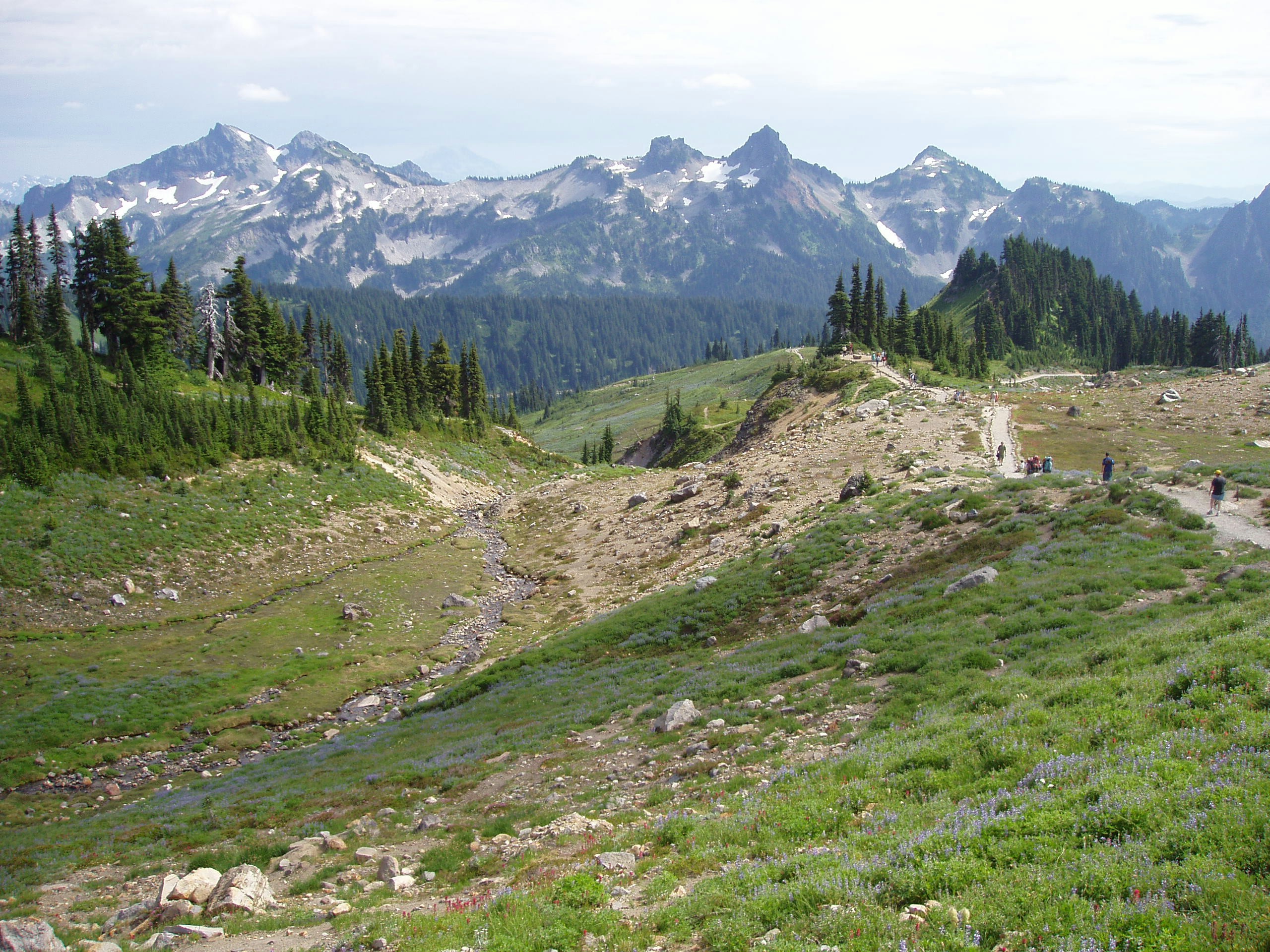 Free Unsplash photo from David Lorenz