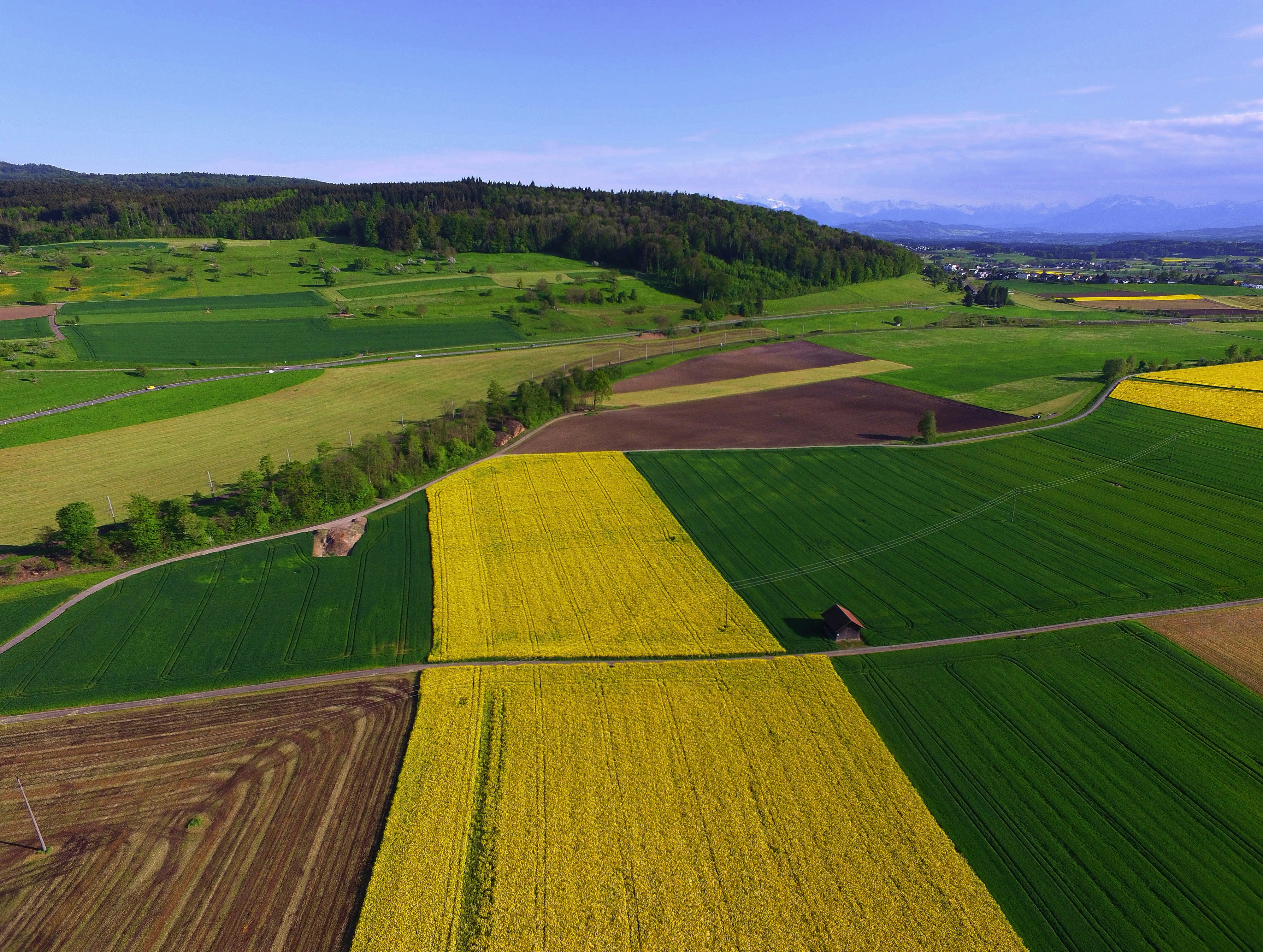 vue aérienne de champs