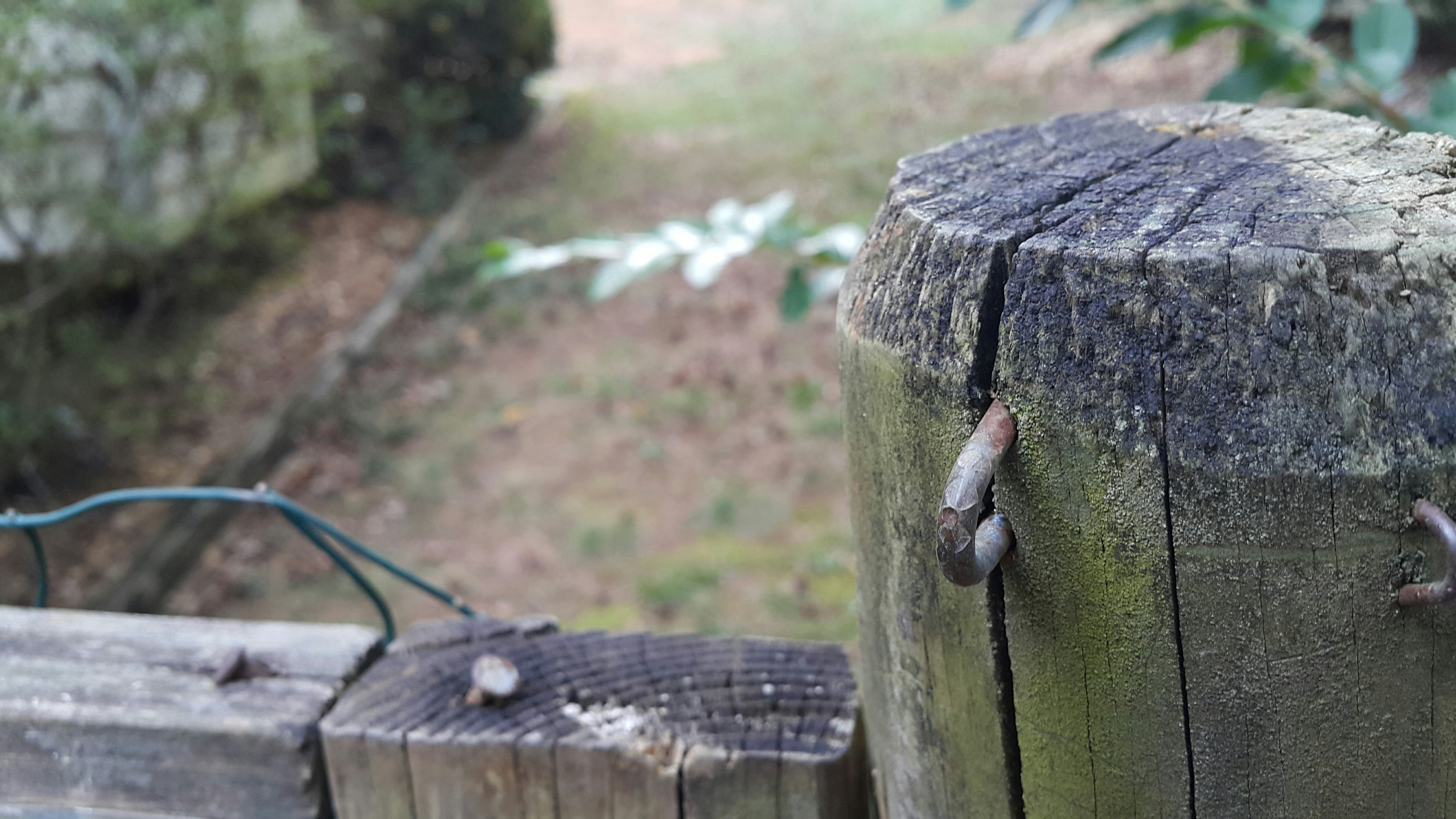 Free Unsplash photo from Rob Kocher