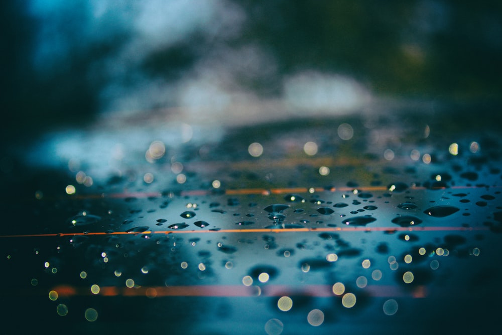 macro photo of raindrop