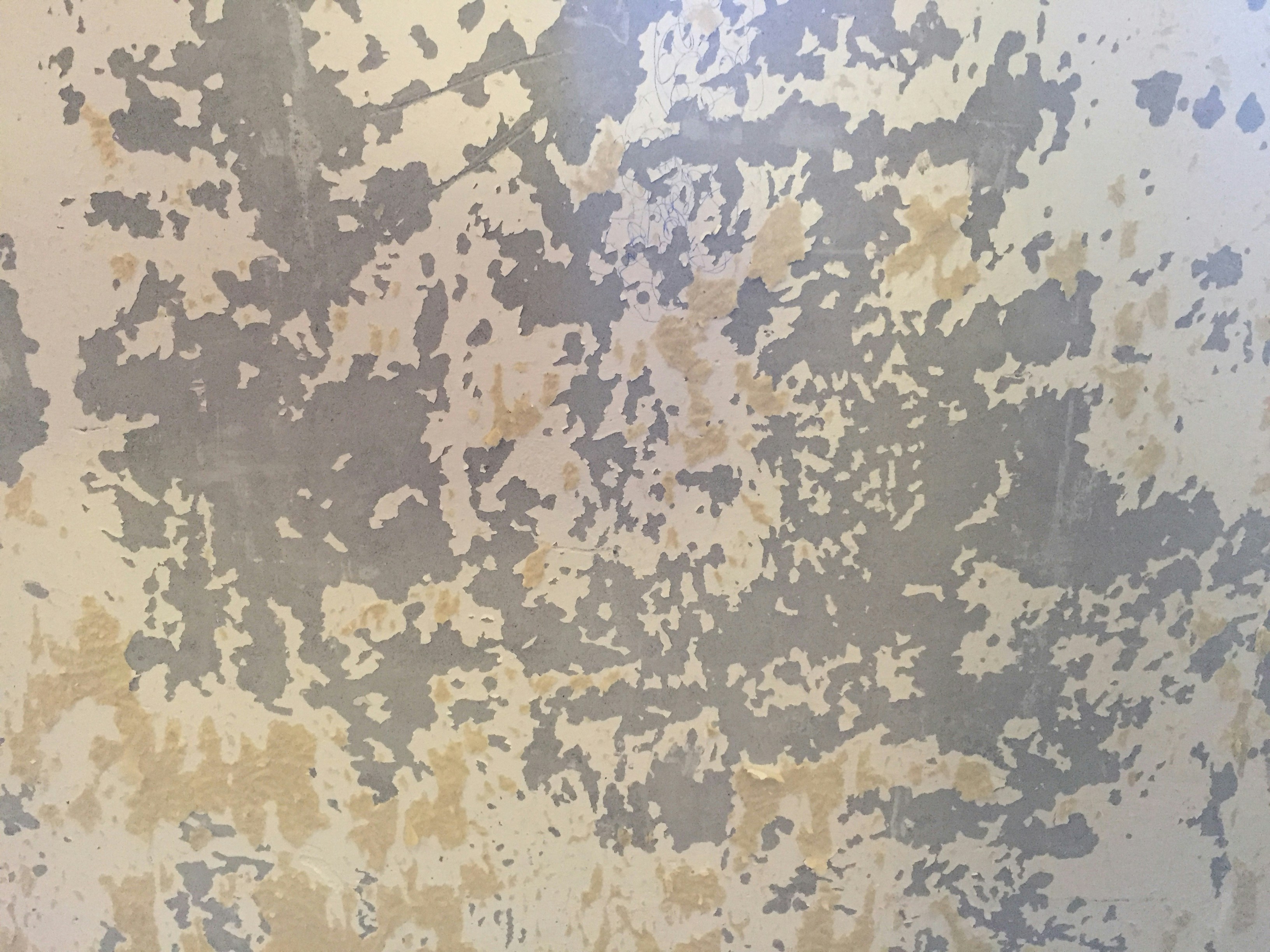 Free Unsplash photo from Greg Daines