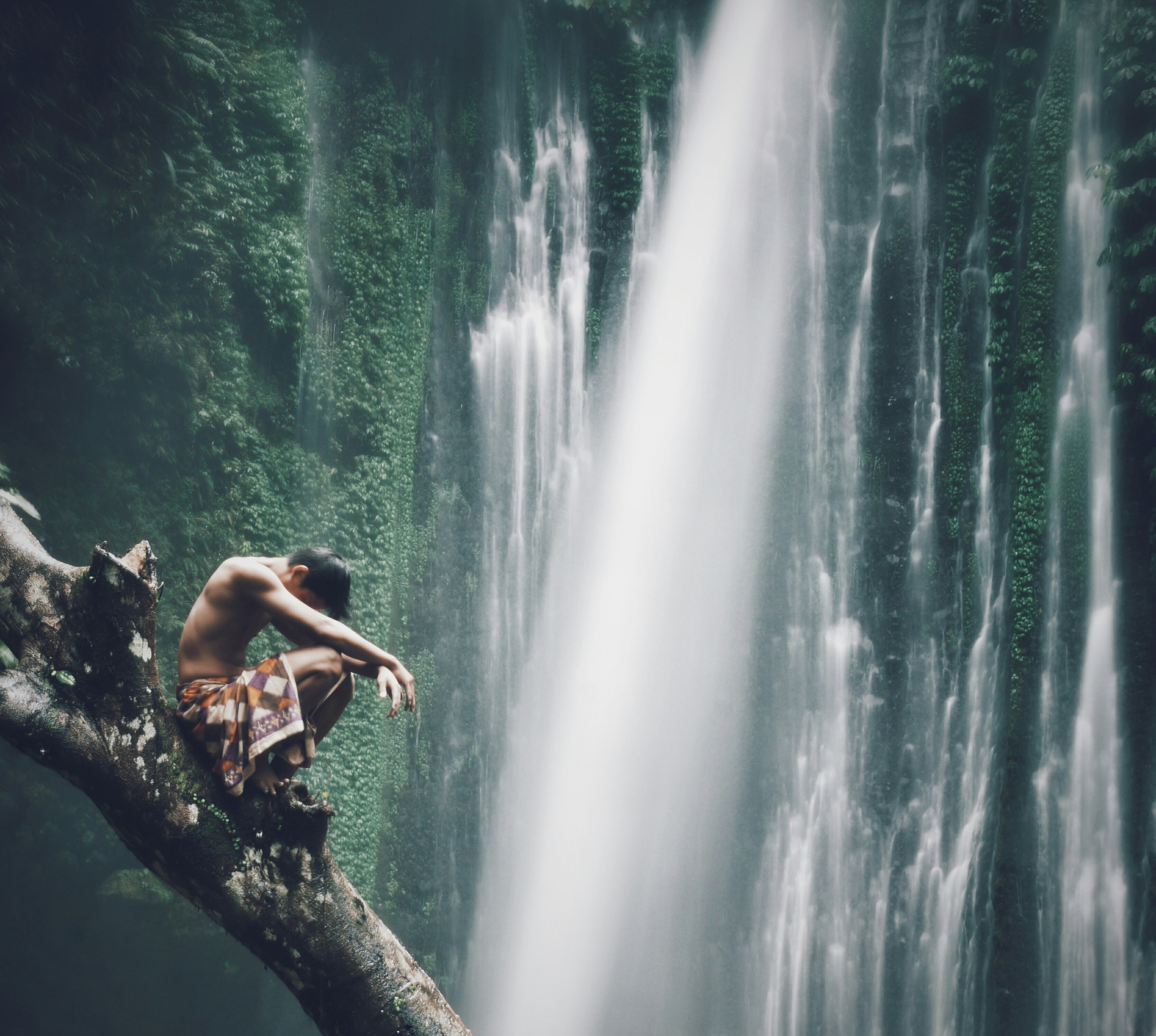 Free Unsplash photo from Rio Syhputra