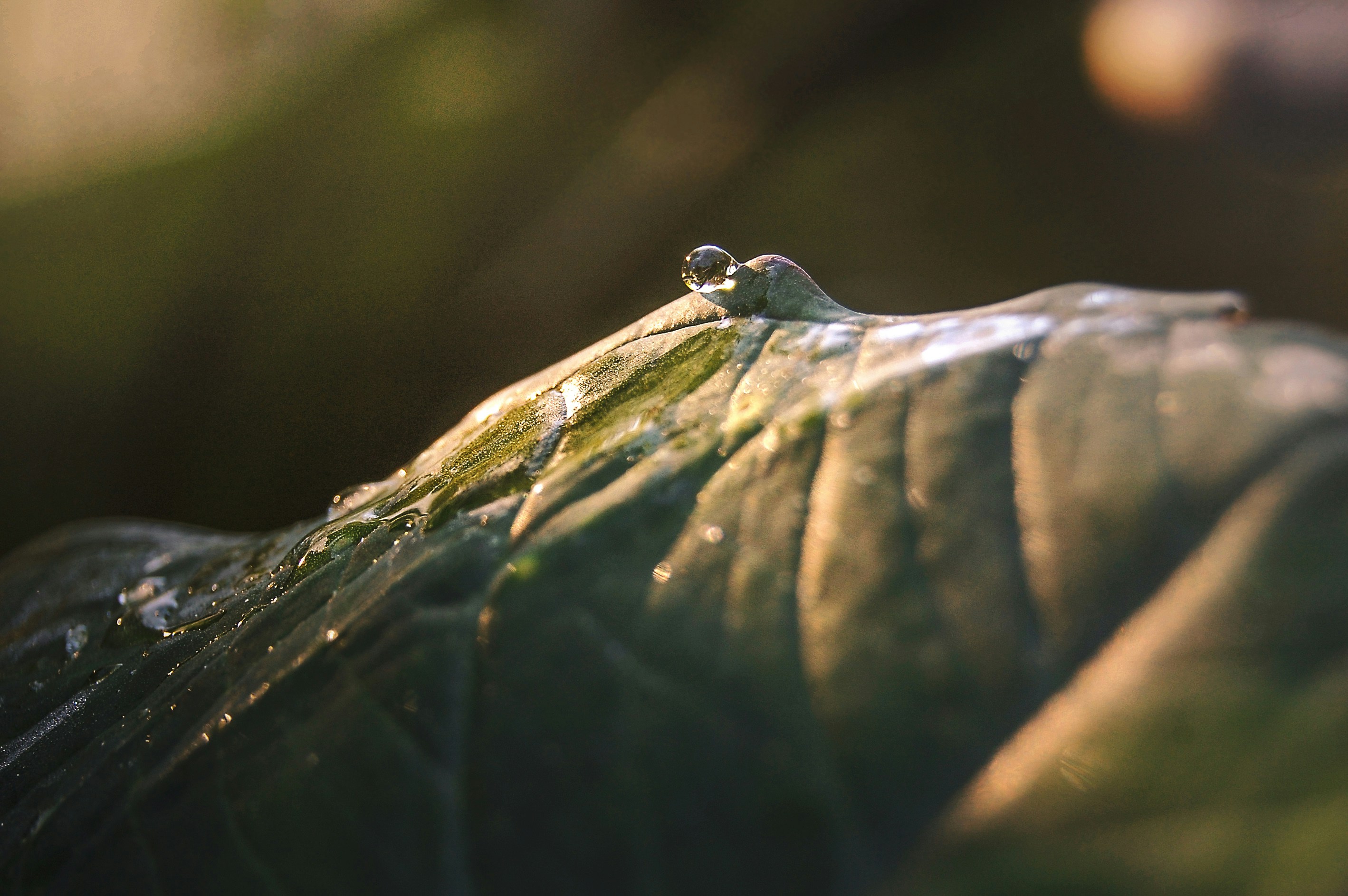 Free Unsplash photo from Eduardo Jaeger