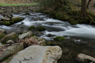 Gently flowing stream bordered by mossy rocks and wildflowers on the retreat's property.