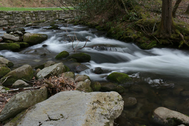 Gently flowing stream bordered by mossy rocks and wildflowers on the retreat's property.