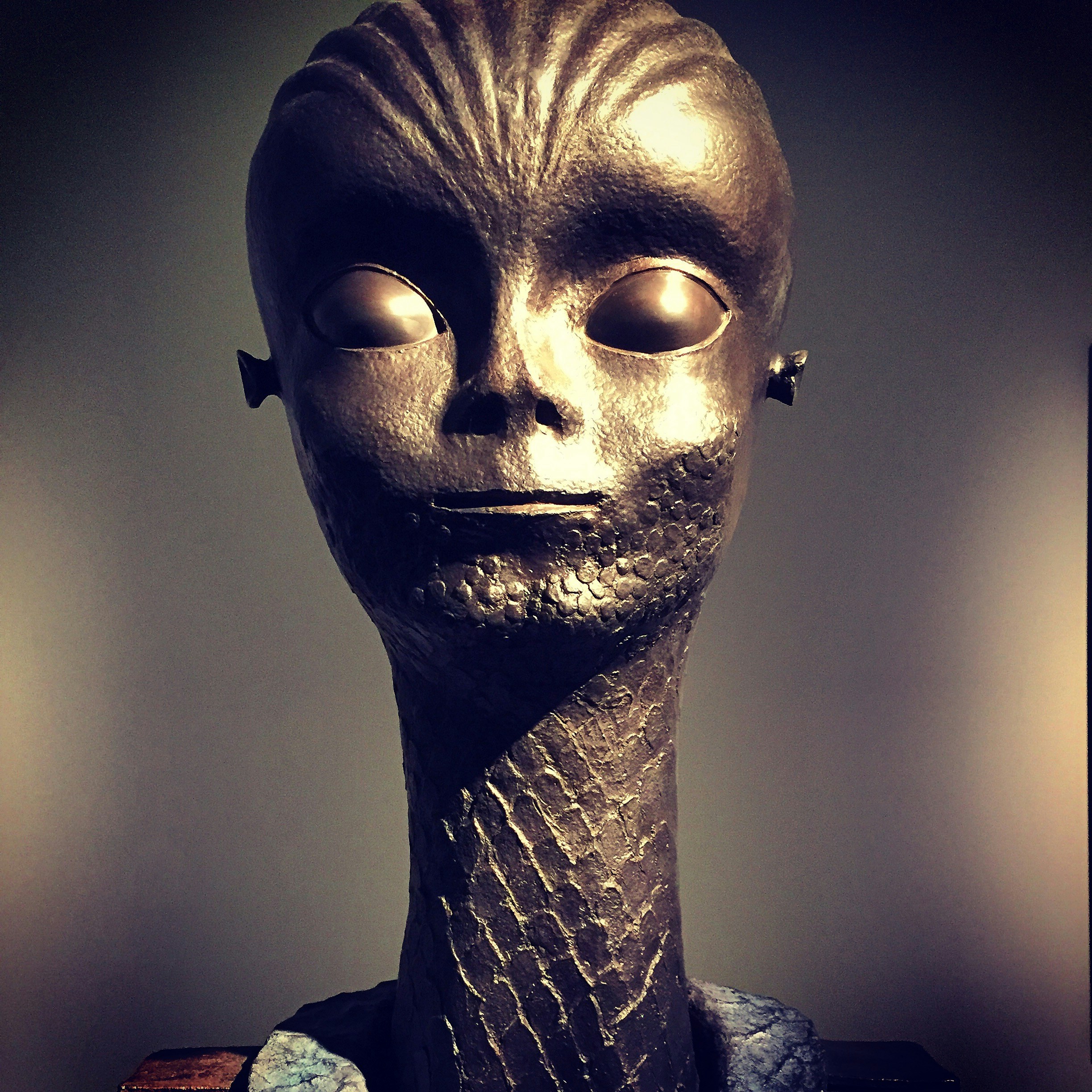 Free Unsplash photo from Christian Druso