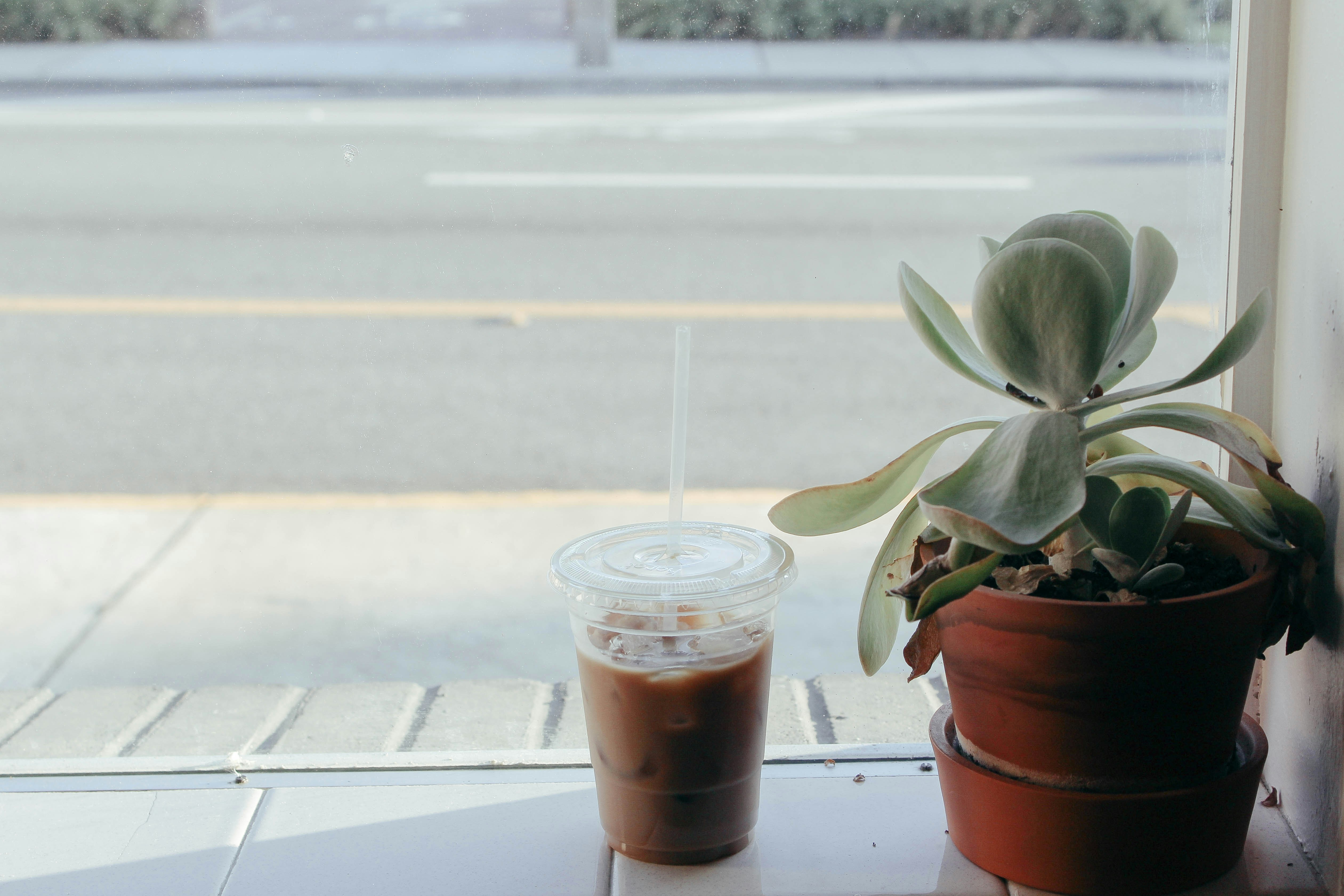 Free Unsplash photo from Victoria Bilsborough