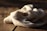 A beige knitted fabric is crumpled and laid out on a wooden surface. The sunlight casts soft shadows and highlights the texture of the knit, creating a warm and cozy atmosphere.