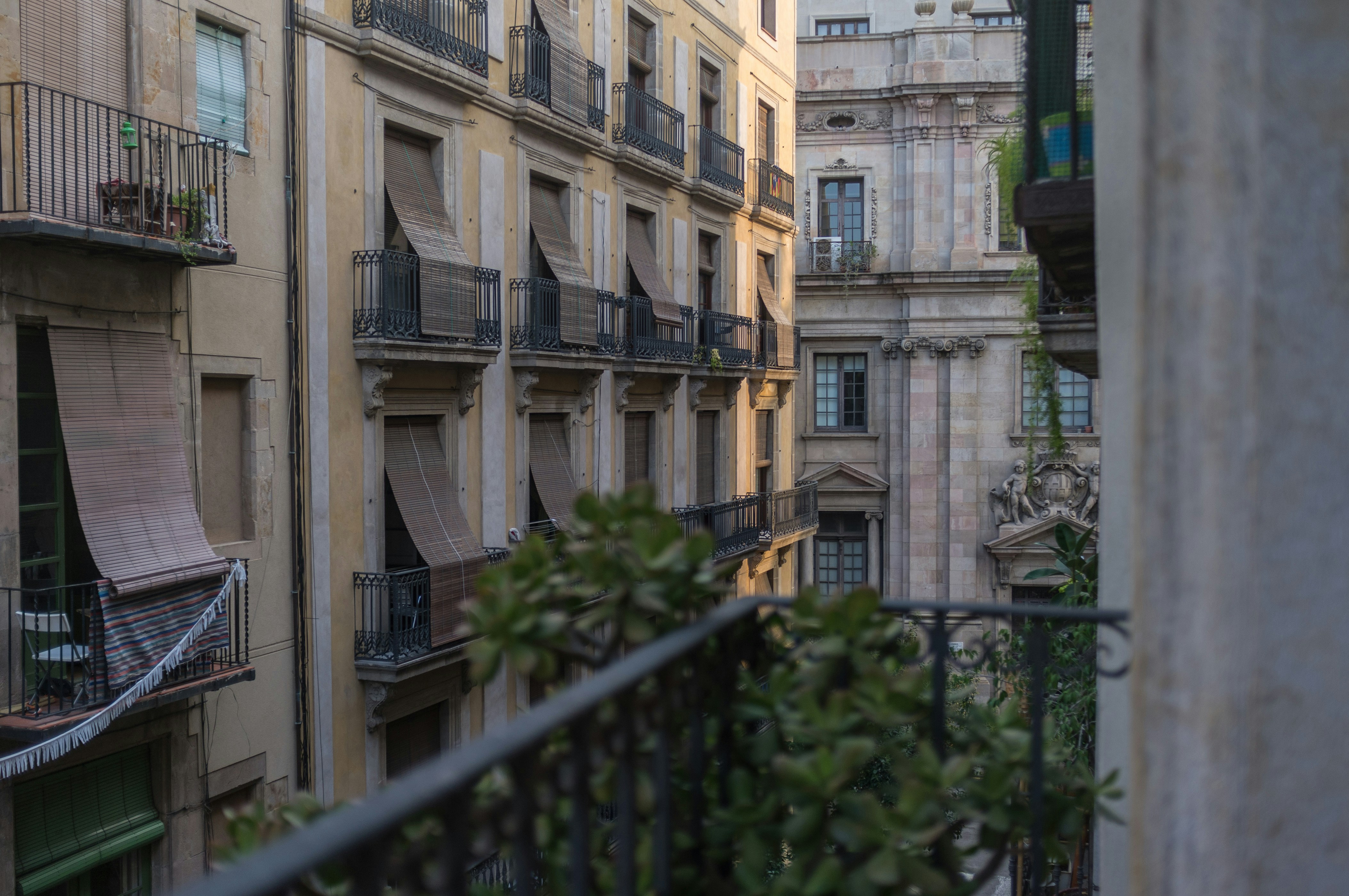 Free Unsplash photo from Vladimir Mokry