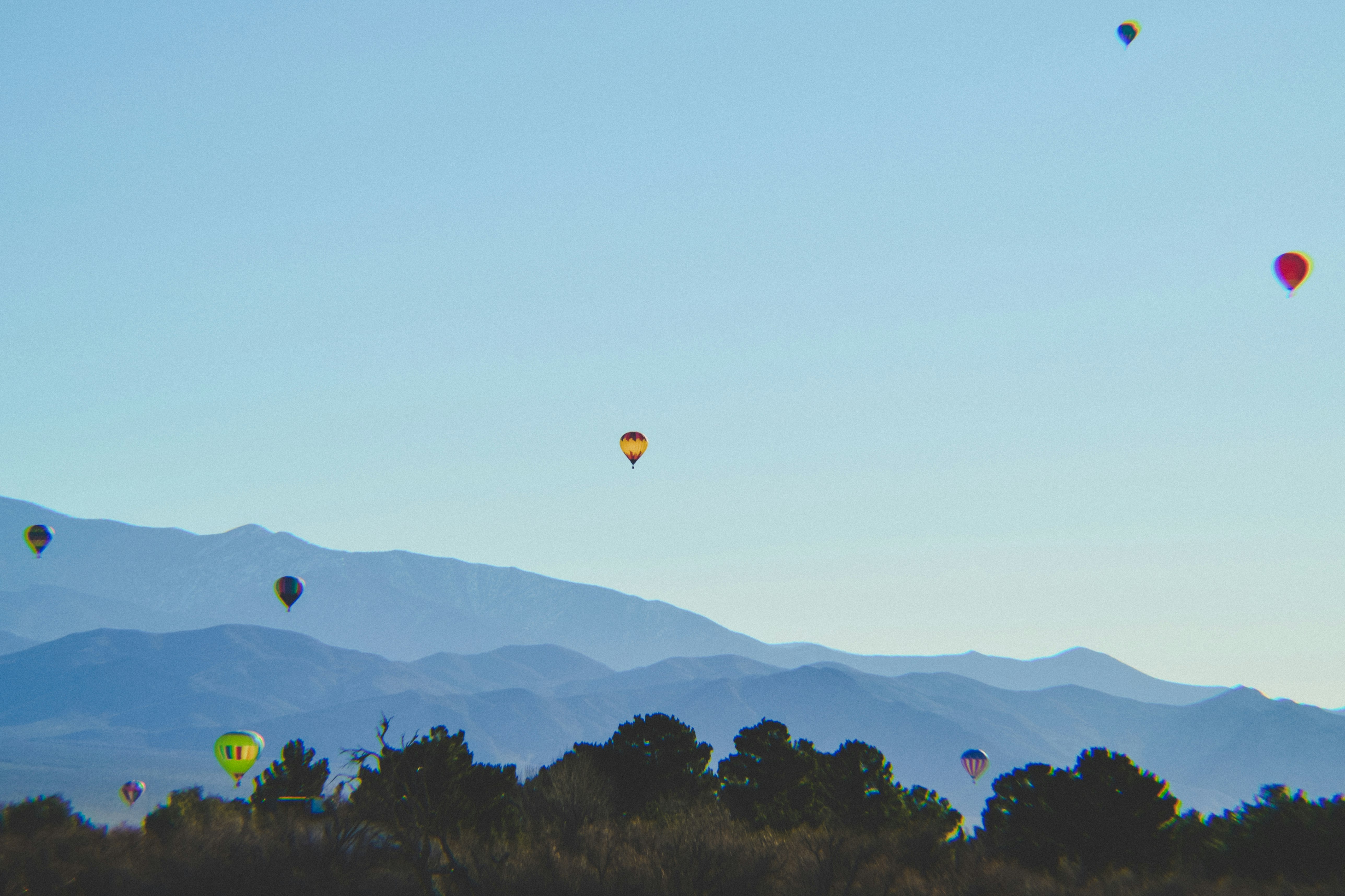 photo of hot air balloons