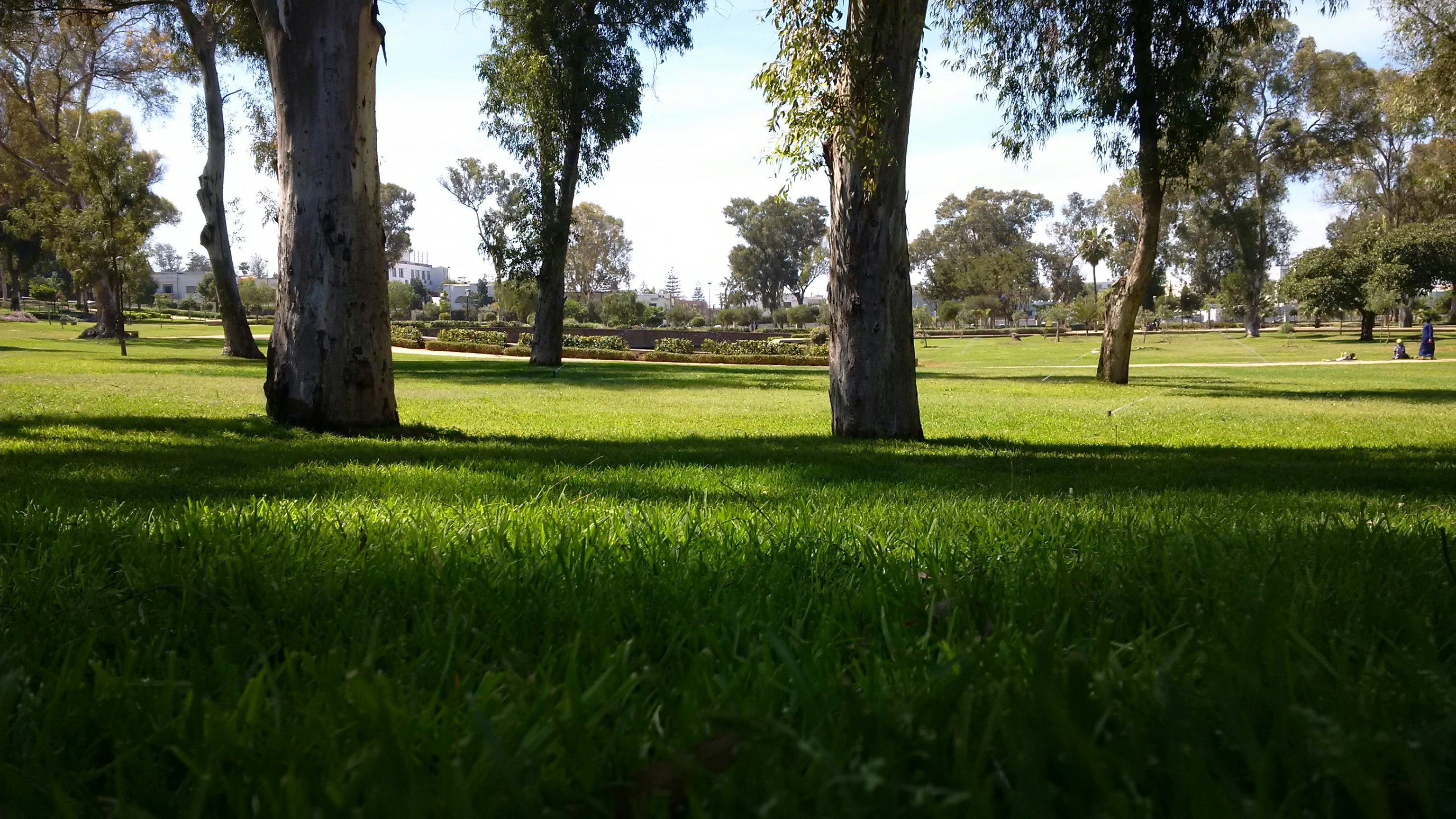 Free Unsplash photo from belkhayat ahmed