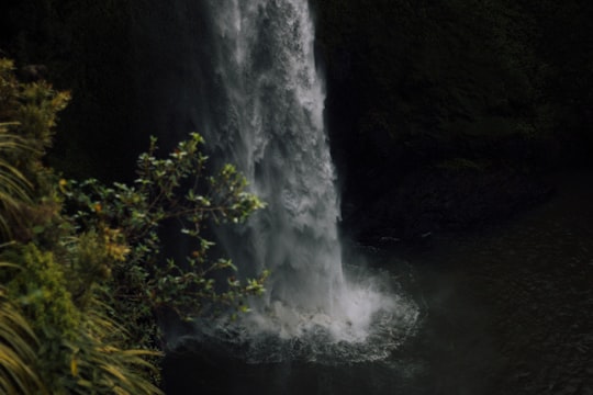waterfalls during daytime in Bridal Veil Falls New Zealand