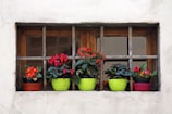 A rustic wooden flower pot with vibrant blooms sitting on a sunlit windowsill.