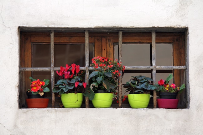 A rustic wooden flower pot with vibrant blooms sitting on a sunlit windowsill.