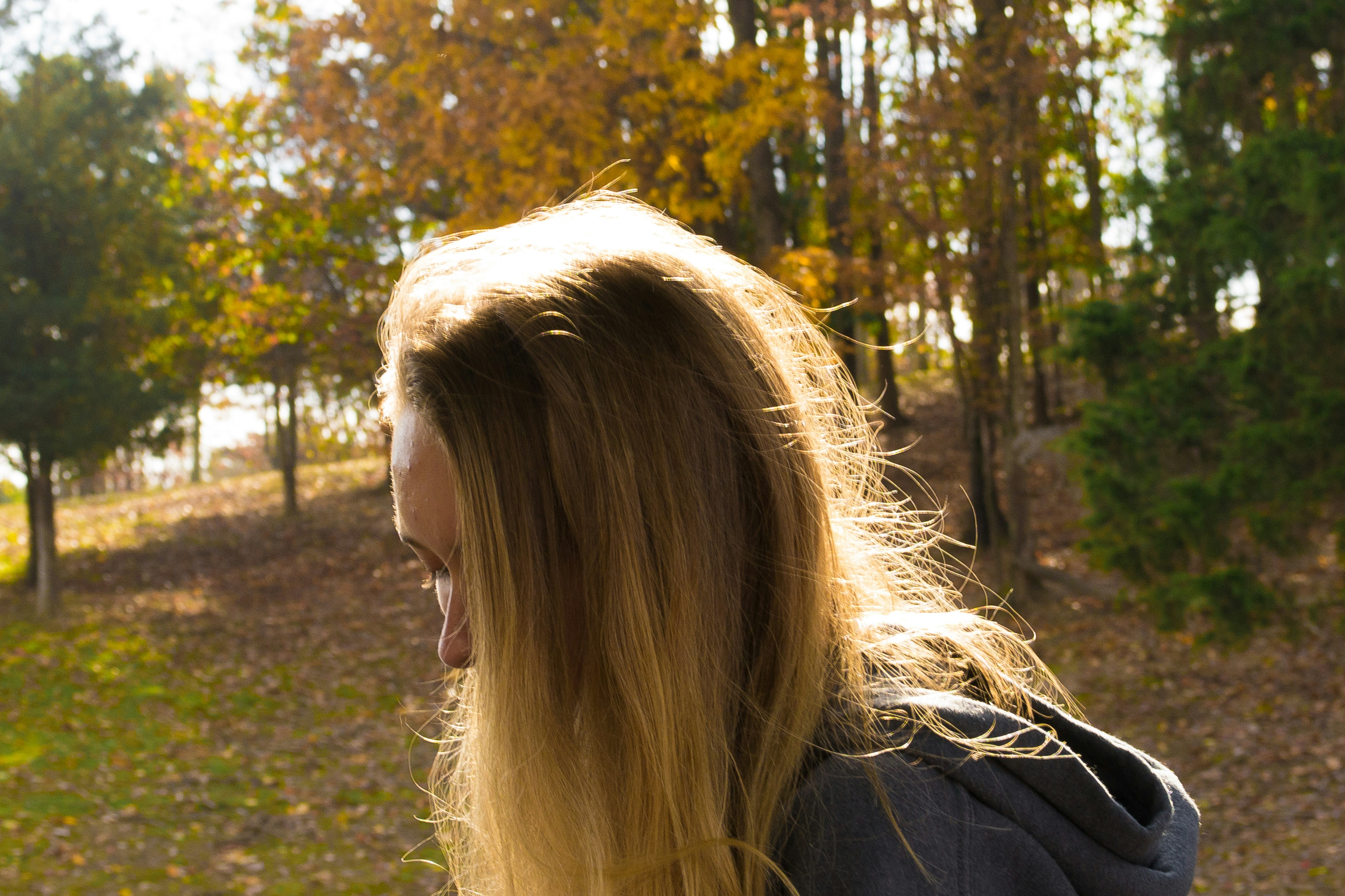 Free Unsplash photo from Sàm Scutt