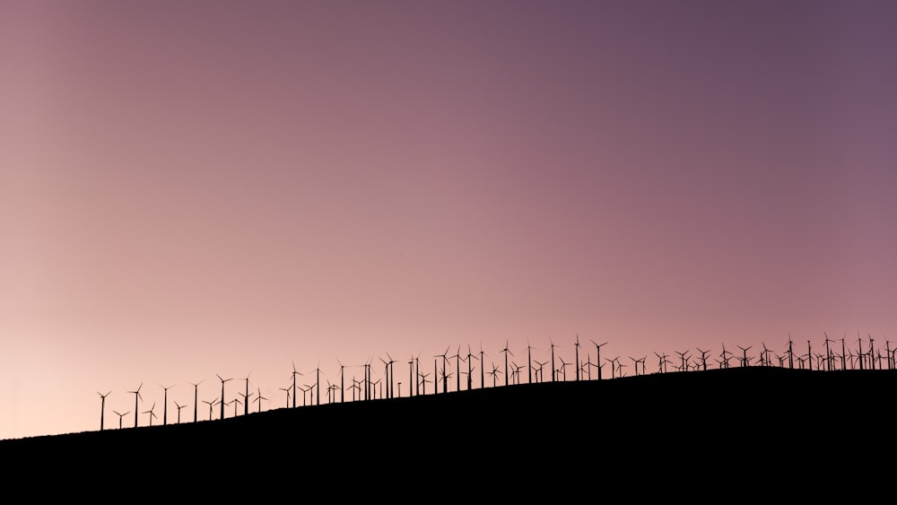 silhouette di turbine eoliche durante il giorno
