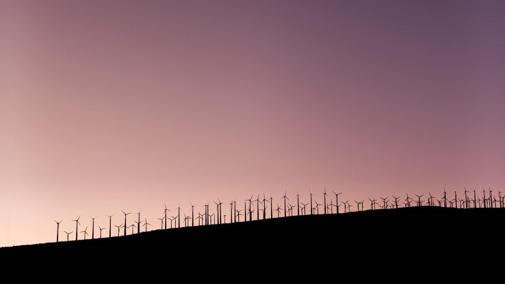 silhouette of wind turbines during daytime