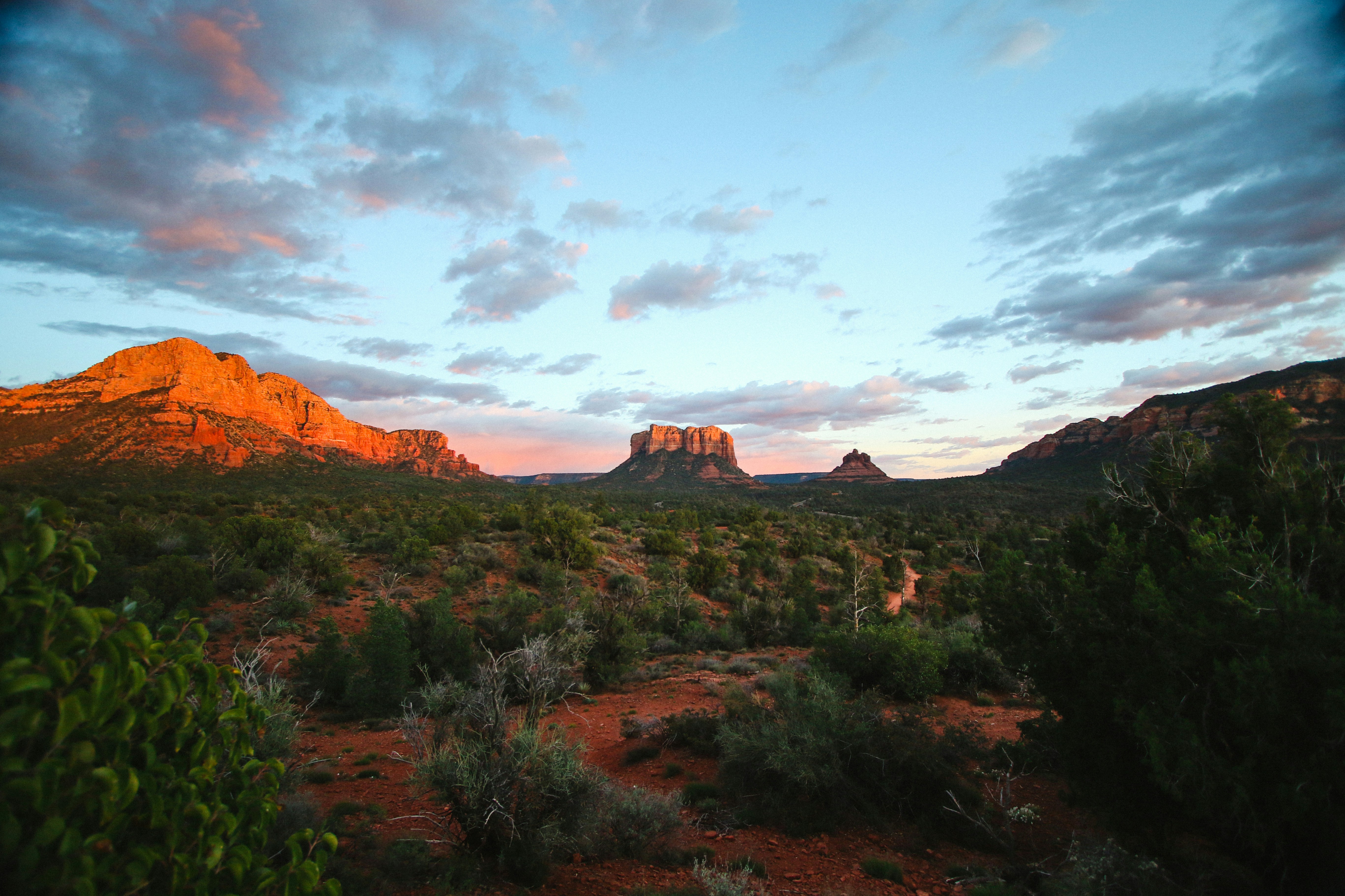 green plants in desert, 