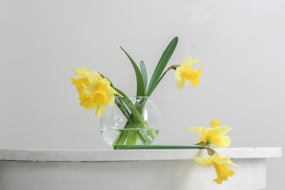 flor amarela dentro do vaso ao lado da parede