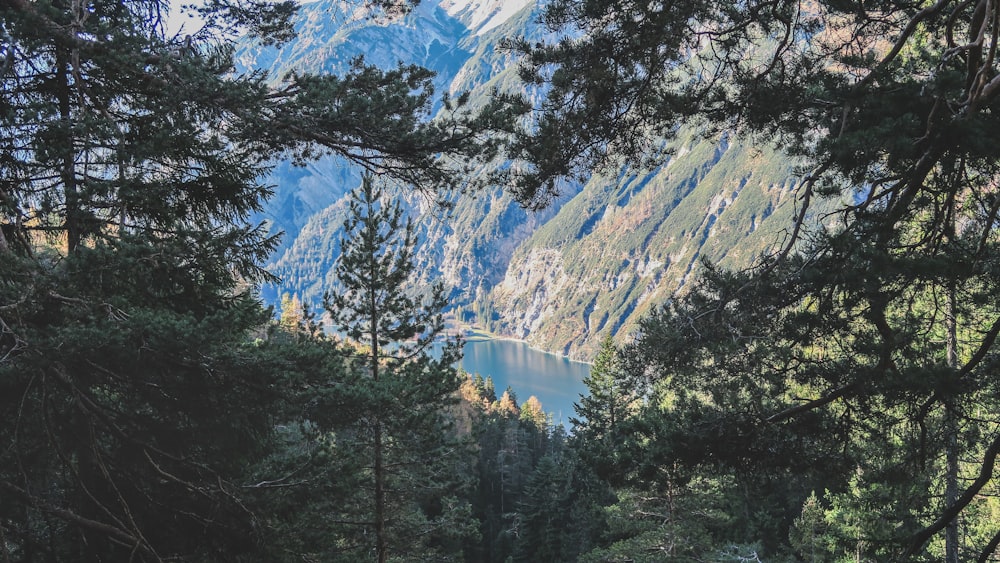 green trees near mountain during daytime