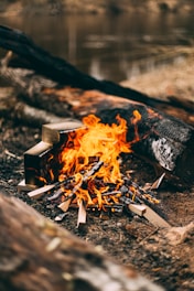 lighted bonfire overlooking body of water at daytime
