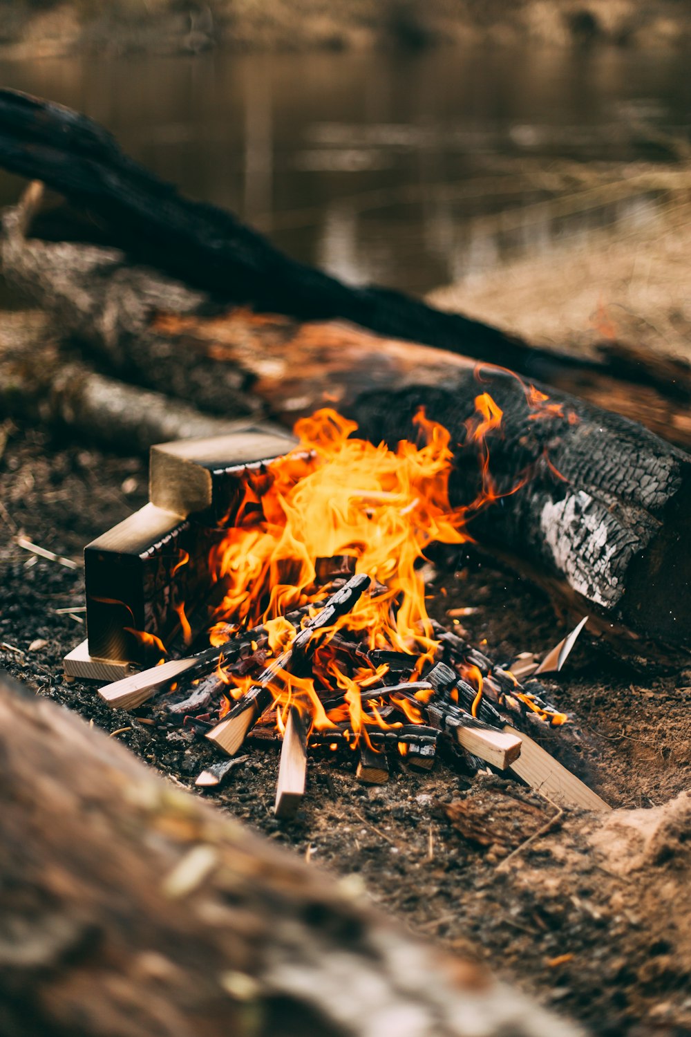 Angezündetes Lagerfeuer mit Blick auf das Gewässer am Tag