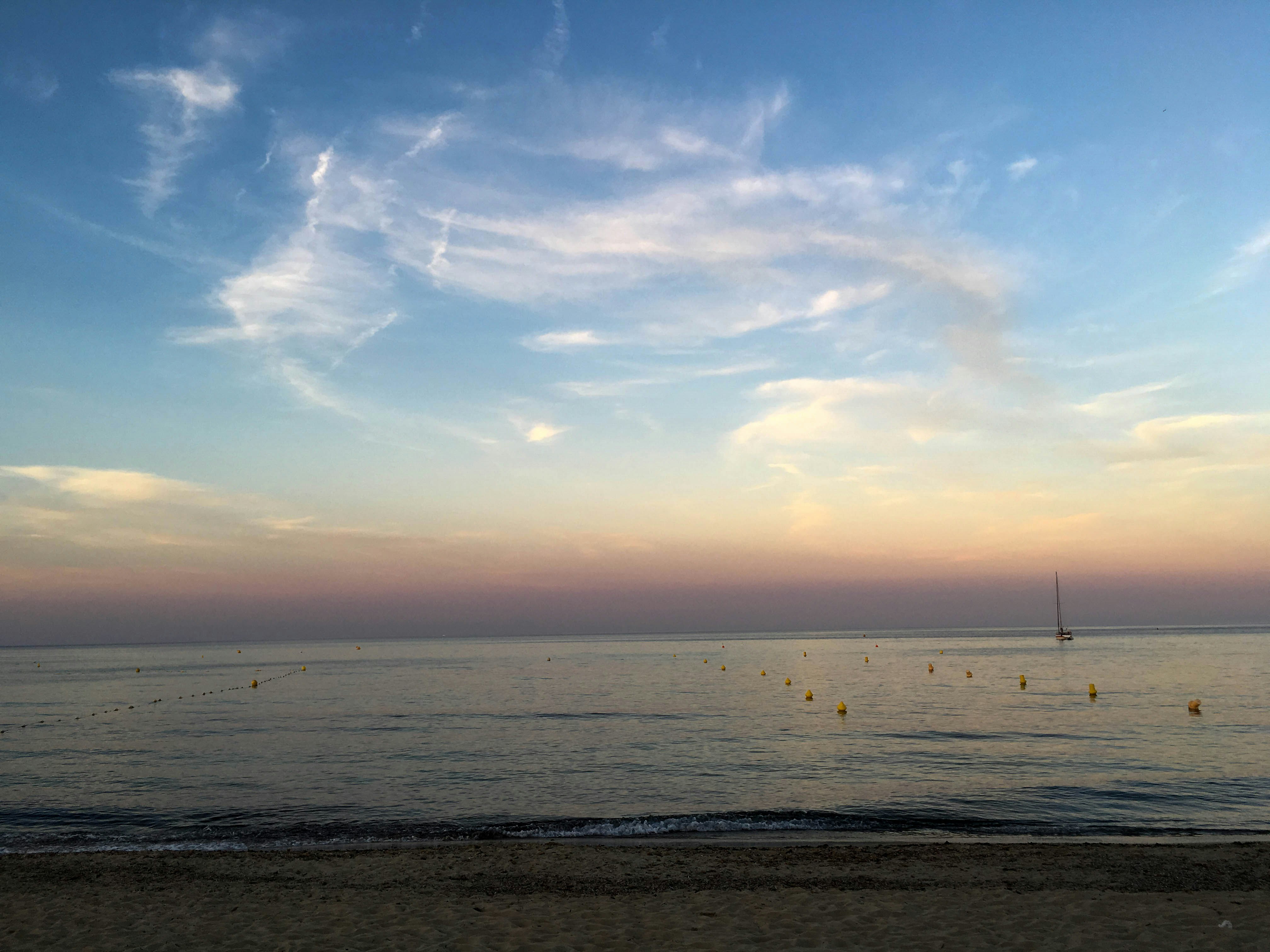 Free Unsplash photo from Philip Joris