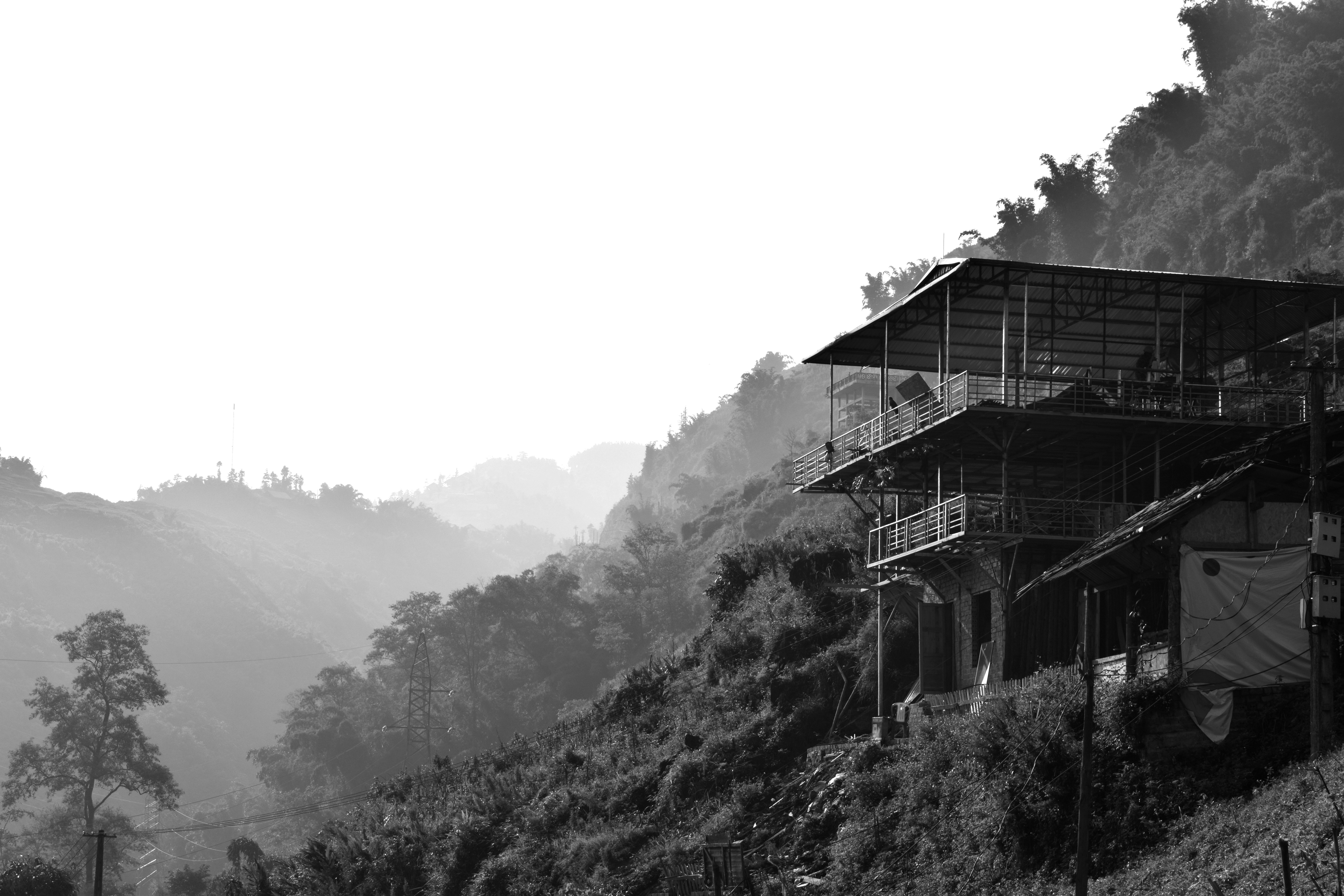 Free Unsplash photo from Miriam Corcuera