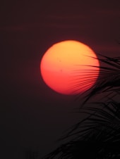 photo of sun
