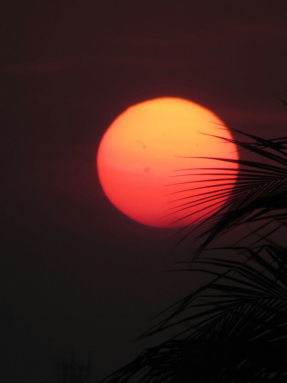 photo of sun