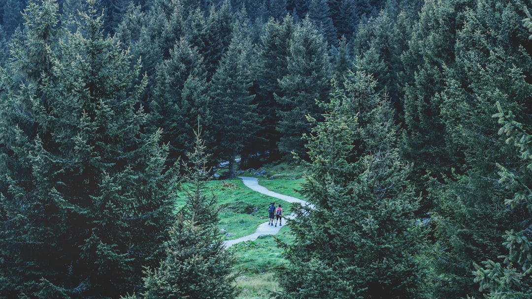 Natural landscape photo spot Grawa Wasserfall Innsbruck