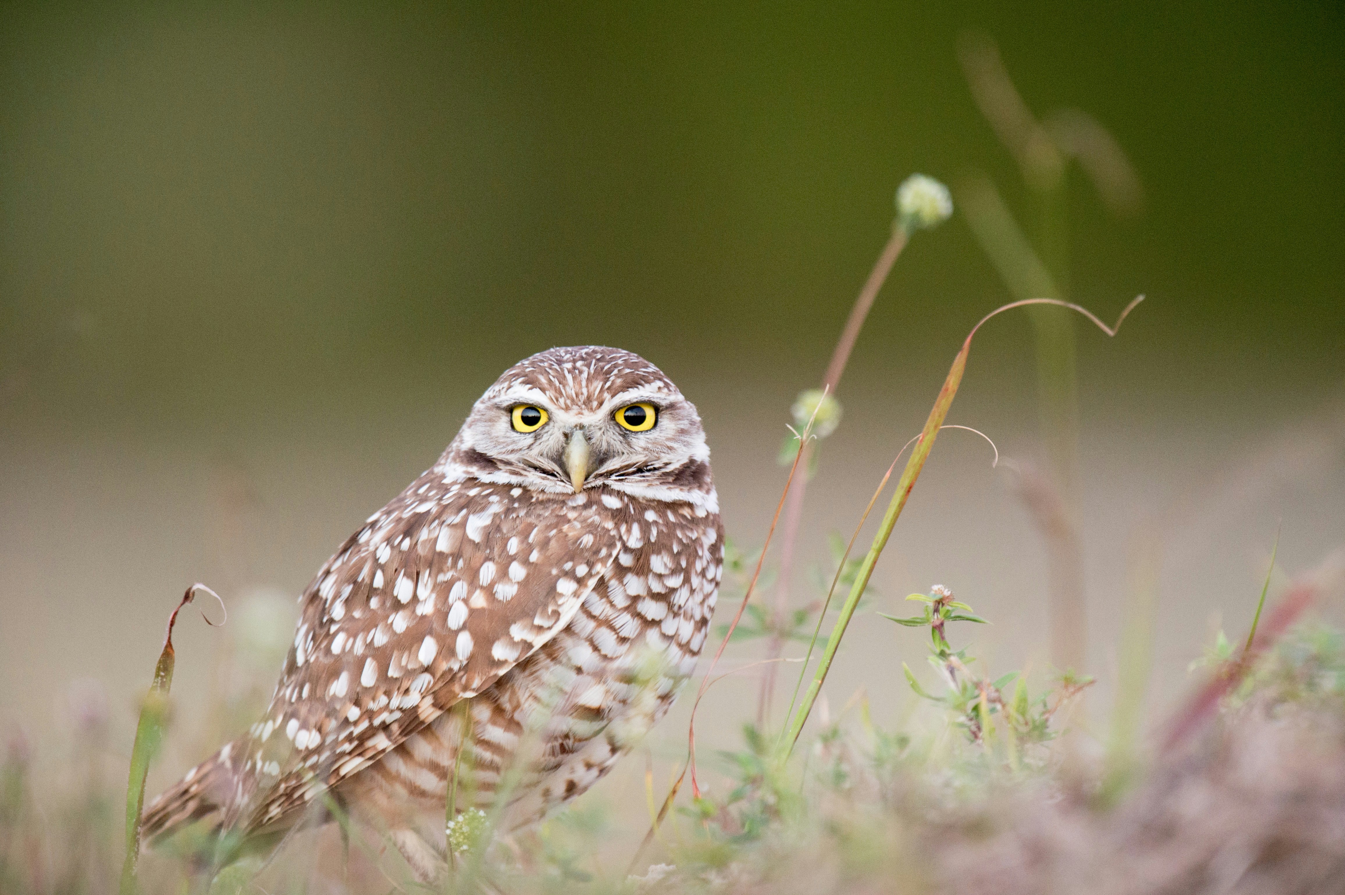 Free Unsplash photo from Ray Hennessy