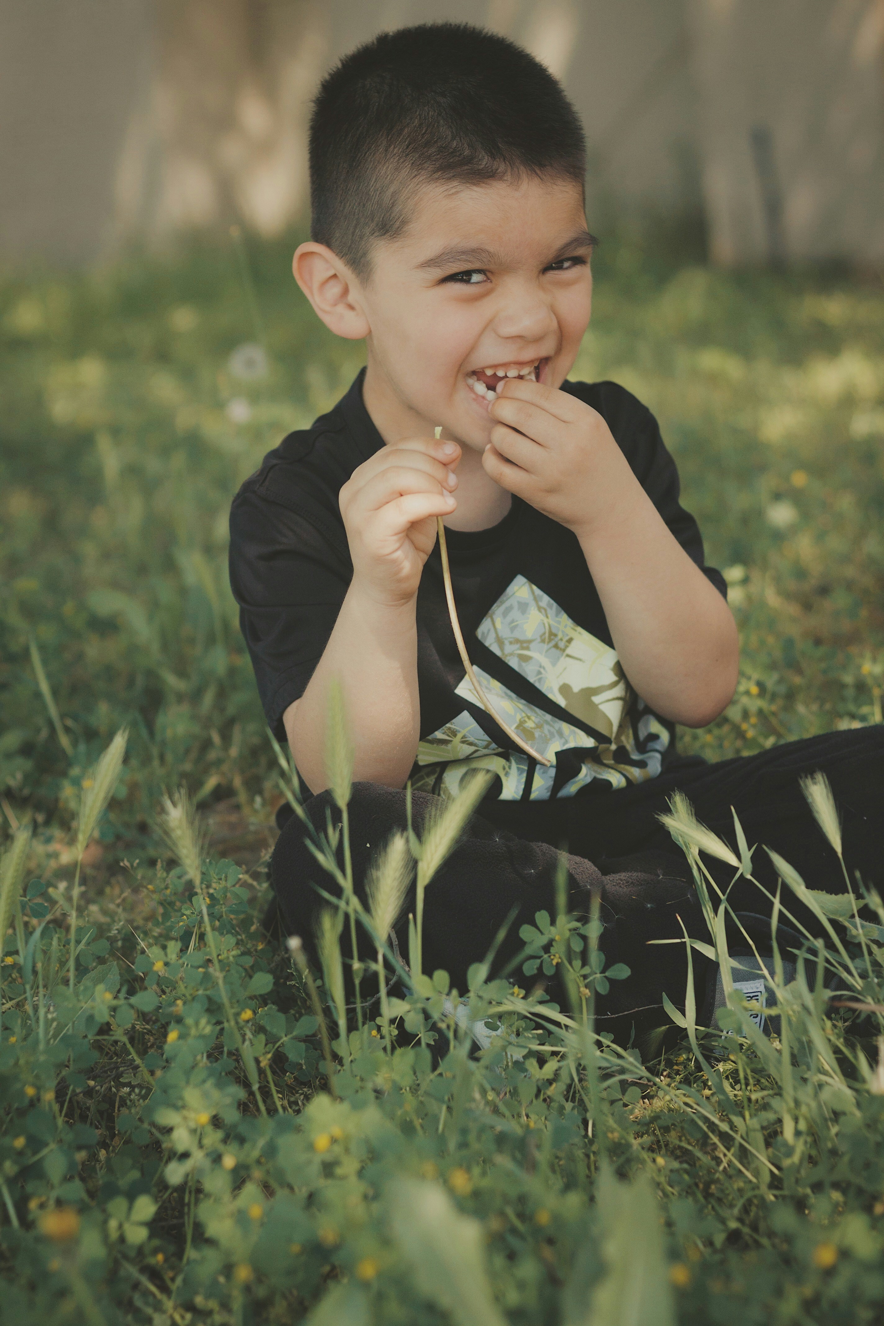 Free Unsplash photo from Norma Melendez