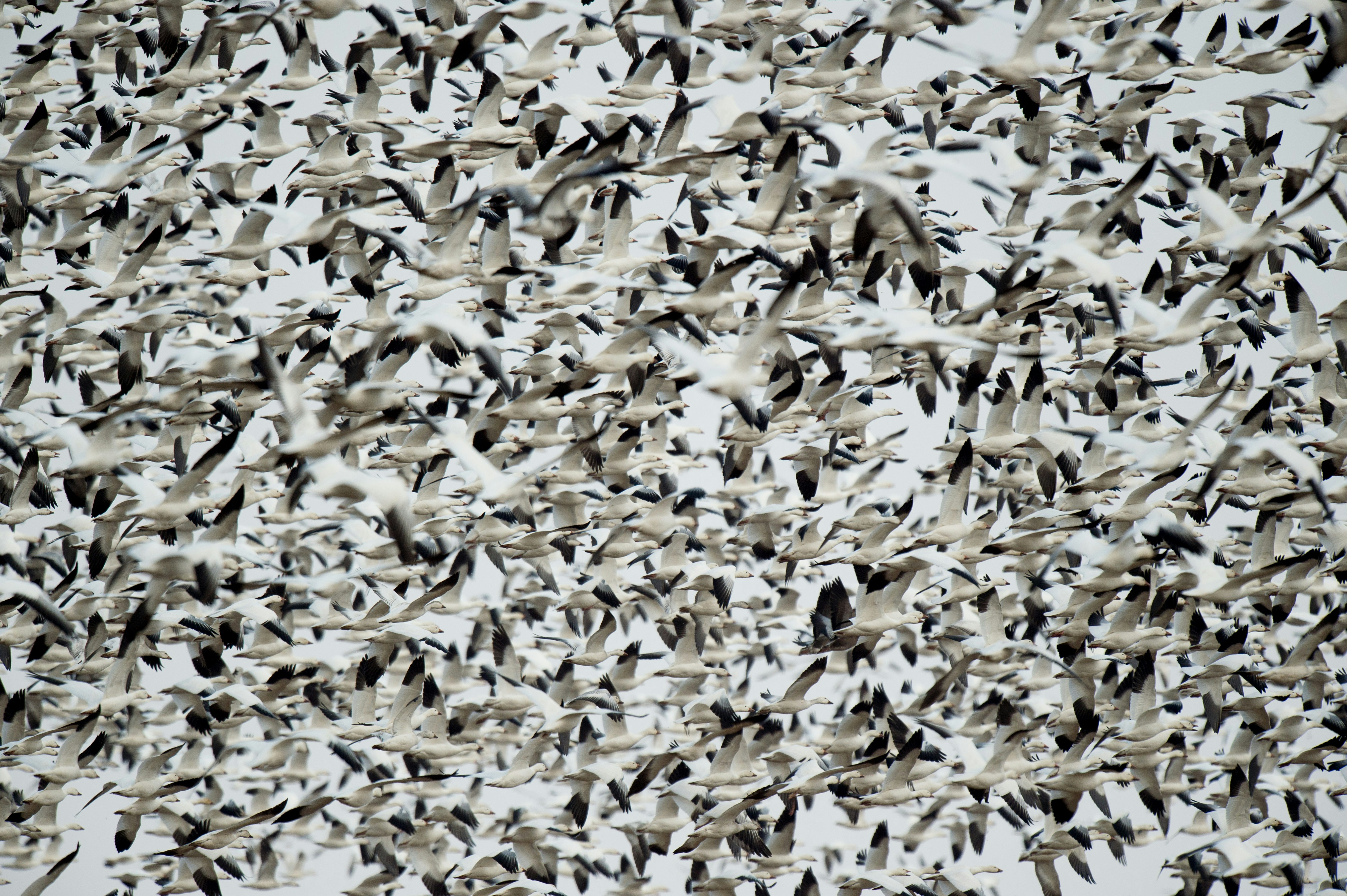 Technology For All Students