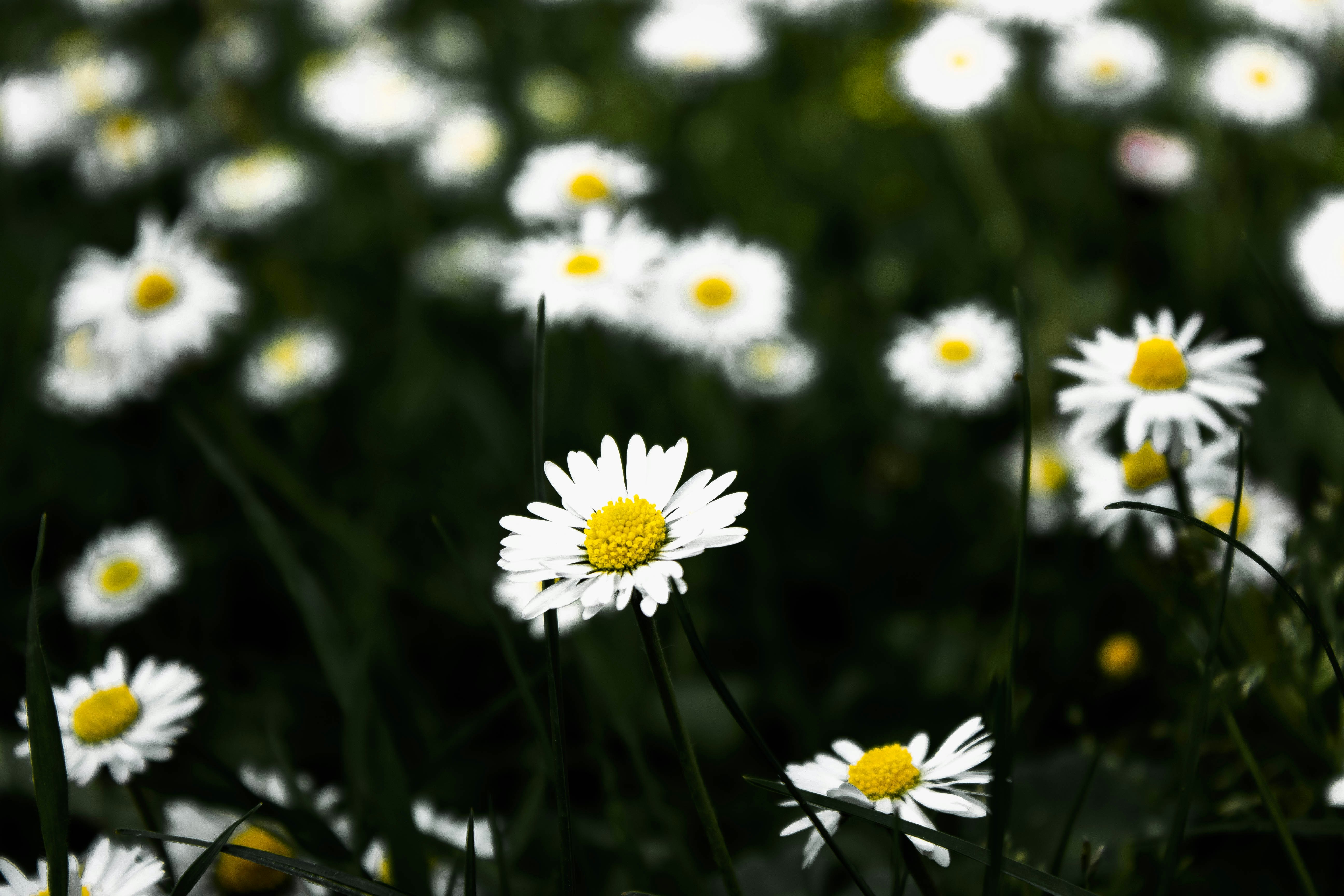 Free Unsplash photo from Valéria Romano