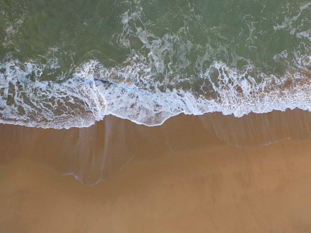 Photographie à vol d’oiseau du rivage de la plage