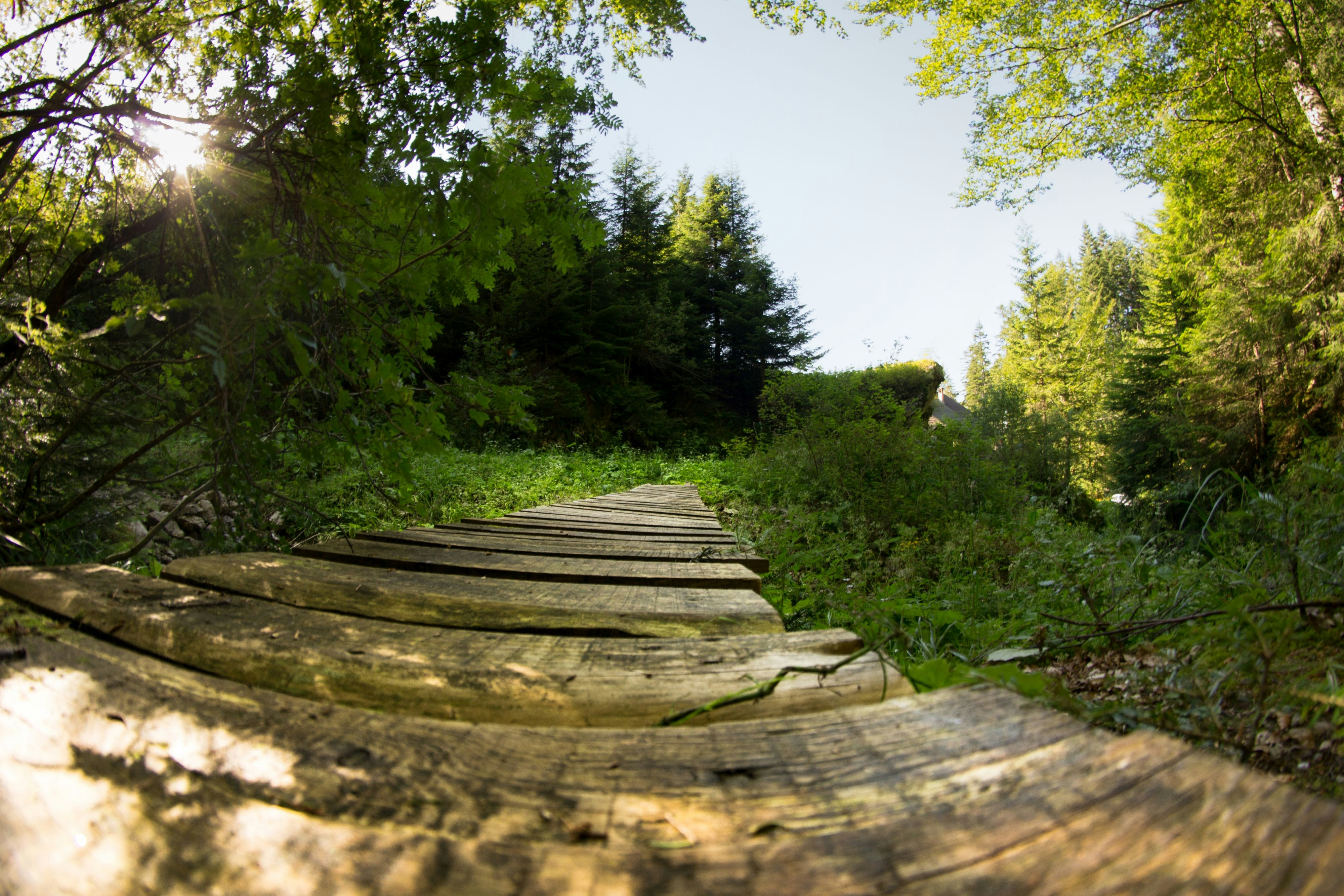 Free Unsplash photo from Inspire Toud