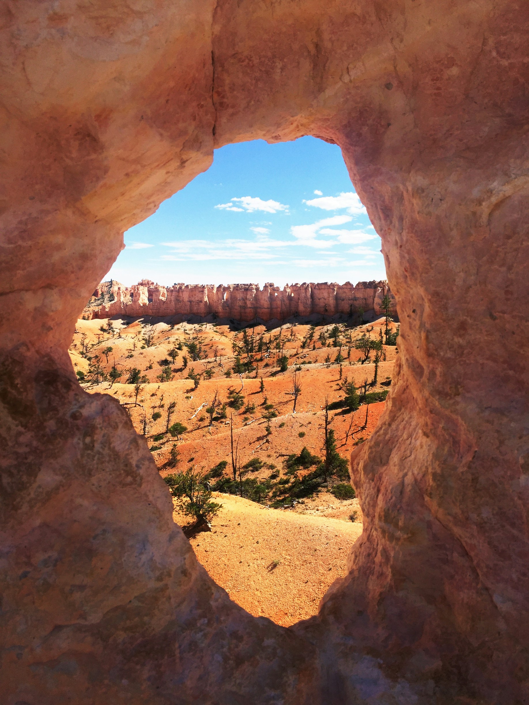 Free Unsplash photo from Evan Qu