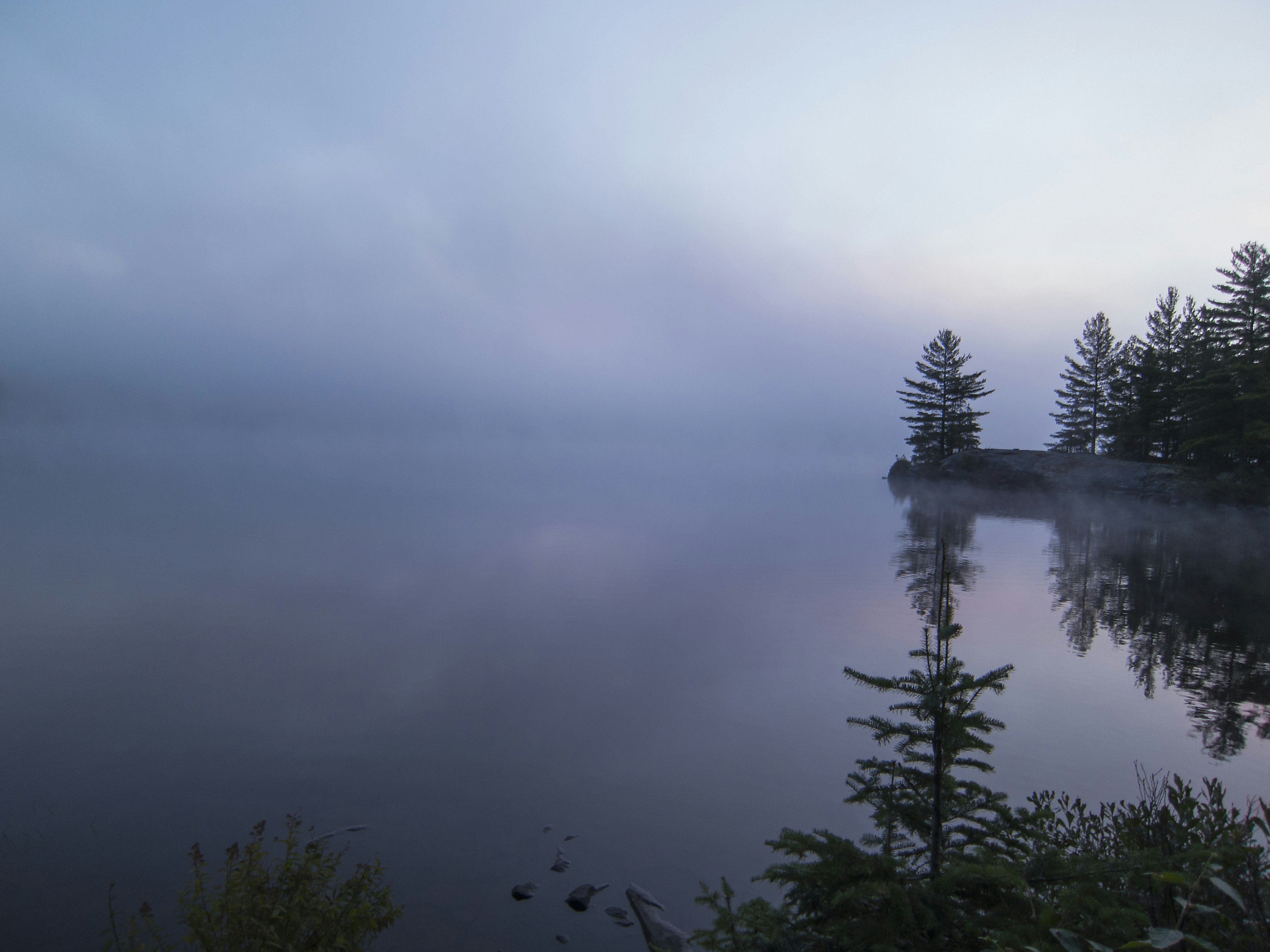 Free Unsplash photo from Harley Yee