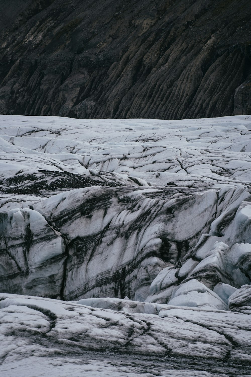 Paesaggio bianco e nero del nevaio