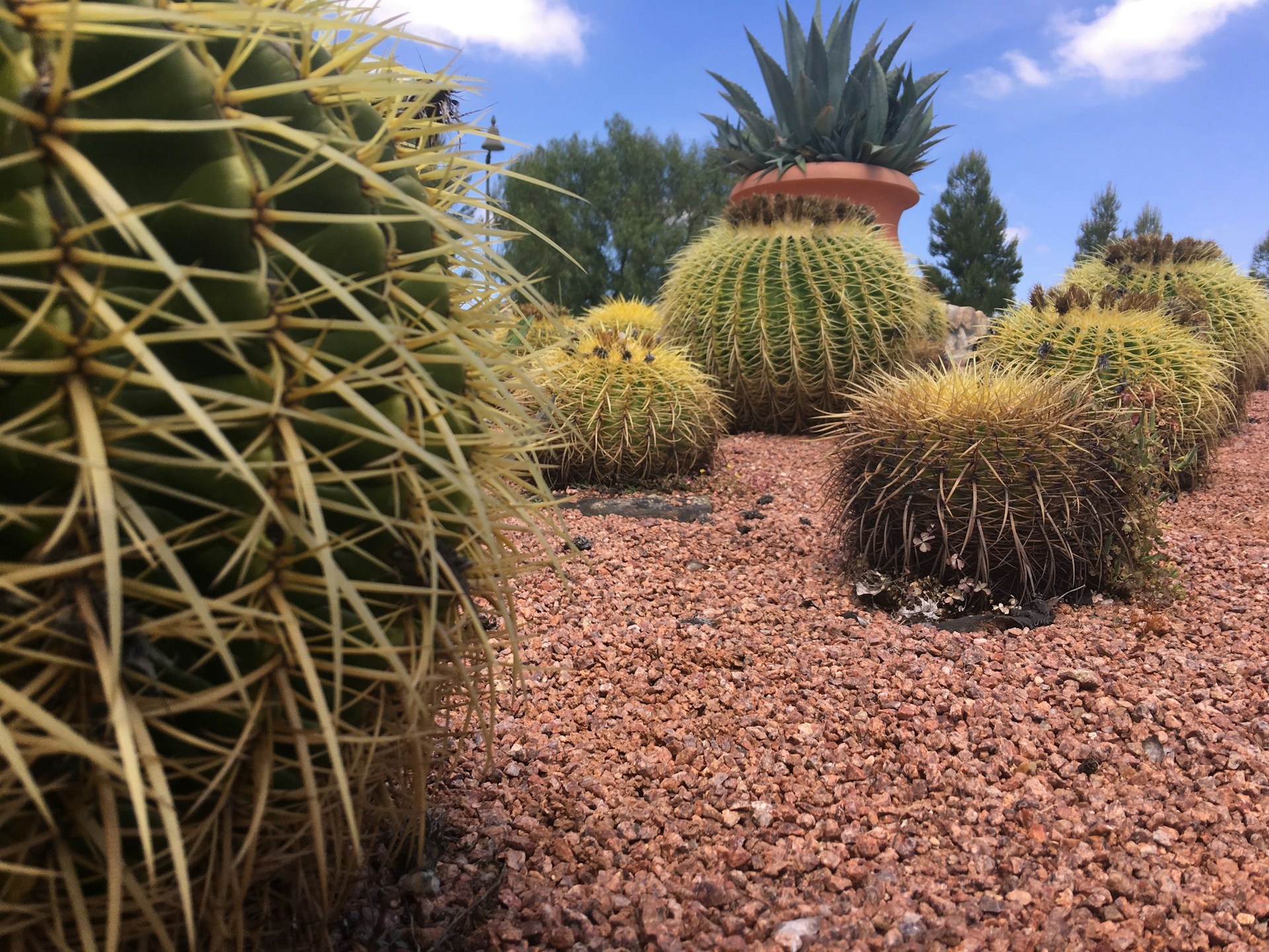 gray computer monitor