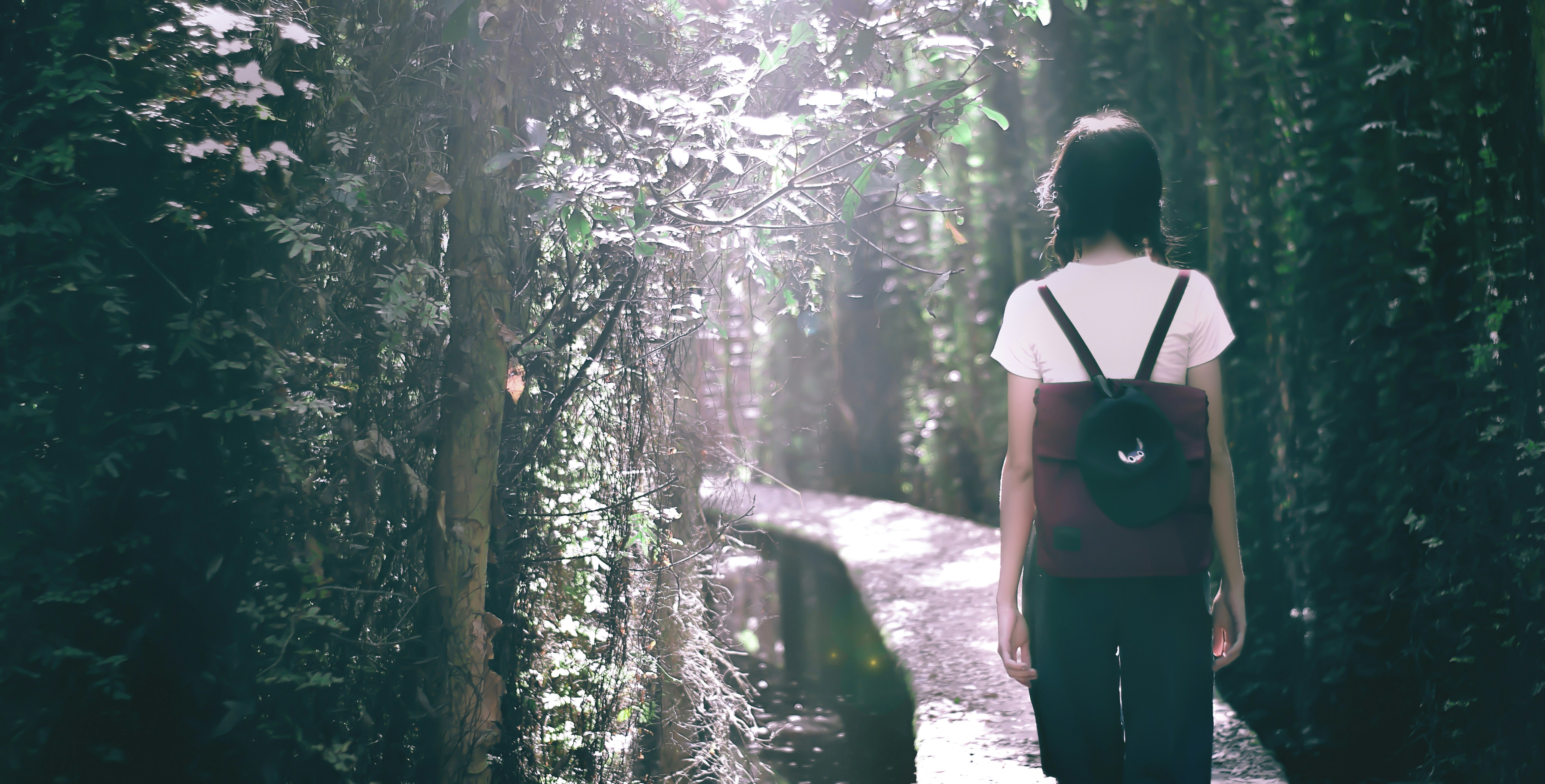 Free Unsplash photo from Phú Nguyễn