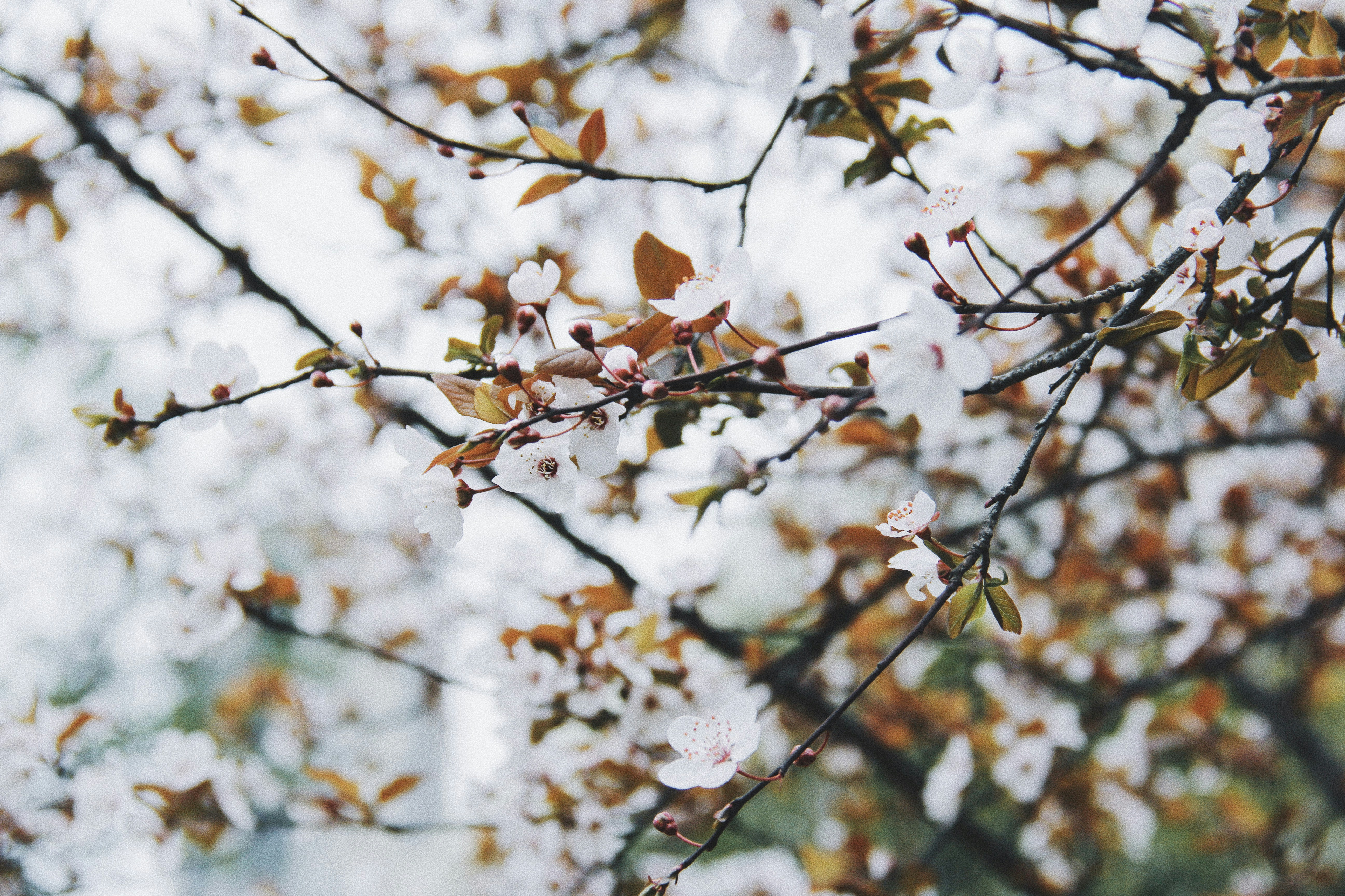 photo-1491354189498-a675f8a6c5c1?ixid=M3wxMjA3fDB8MXxzZWFyY2h8Nnx8YmF0aWRvcyUyMHBhcmElMjBlbCUyMGZyJUMzJUFEbyUyMCUyOG90byVDMyVCMW8lMkZpbnZpZXJubyUyOXxlbnwwfHx8fDE3NTQzNzU1MTd8MA\u0026ixlib=rb-4.1.0